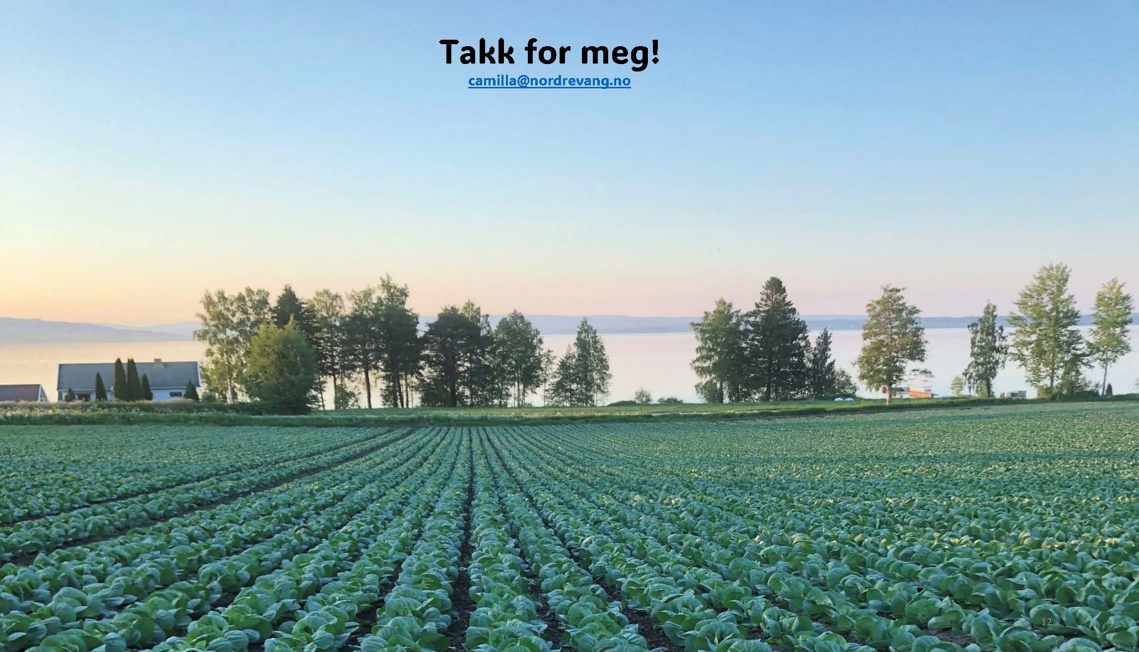 11.20 (1) Camilla Rostad Spydspiss_Side_12.jpg