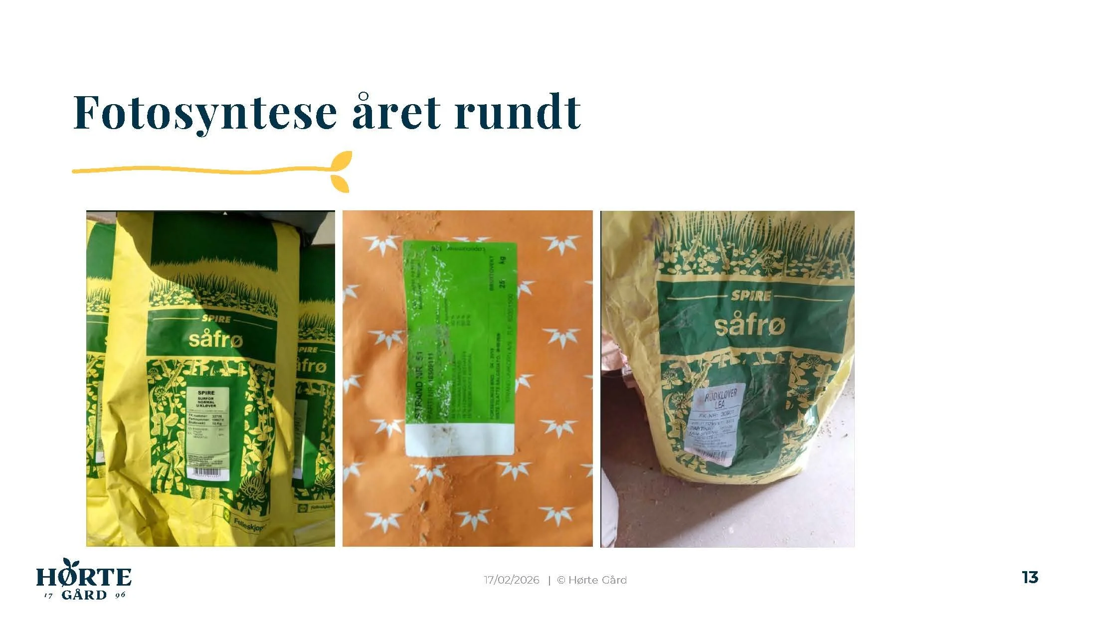 14 30 Åkerbruk Grønsaker i vekstskifte på godt og vondt Hørthe_Side_13.jpg