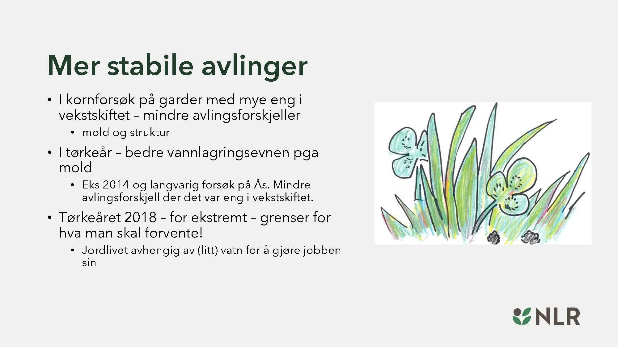 16.30 Den fantastiske enga! Kari Bysveen_Side_02.jpg