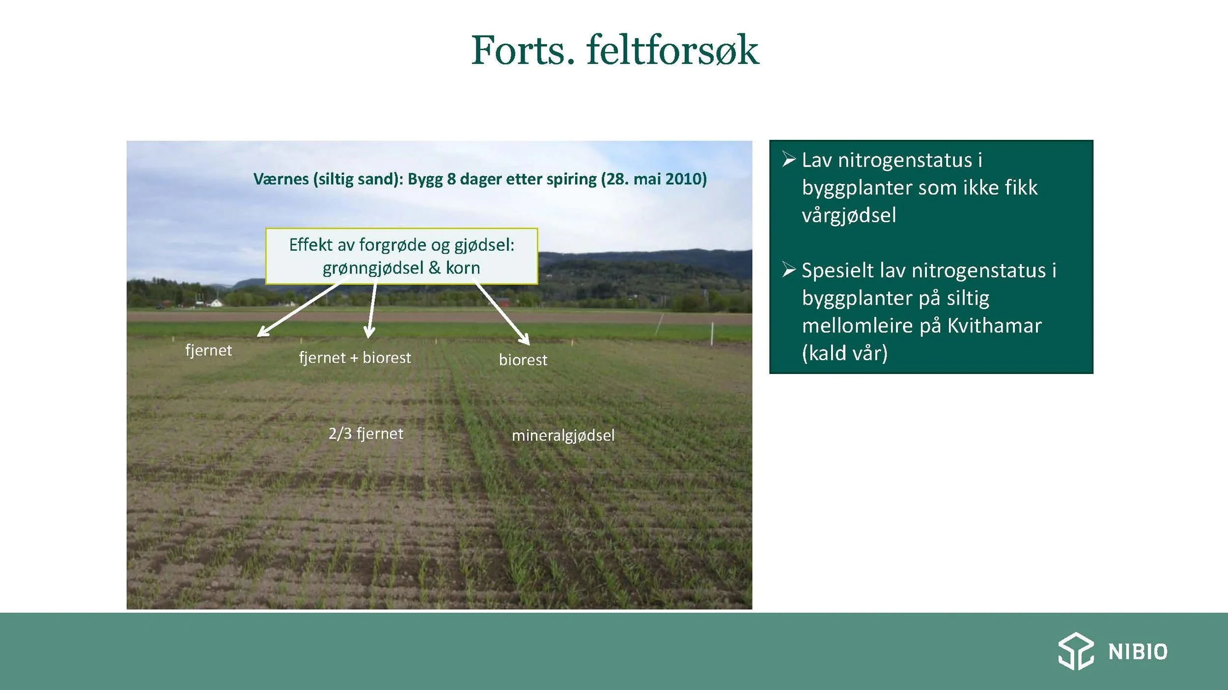 12 30 Åkerbruk Nitrogendynamikk Randi Berland_Side_15.jpg