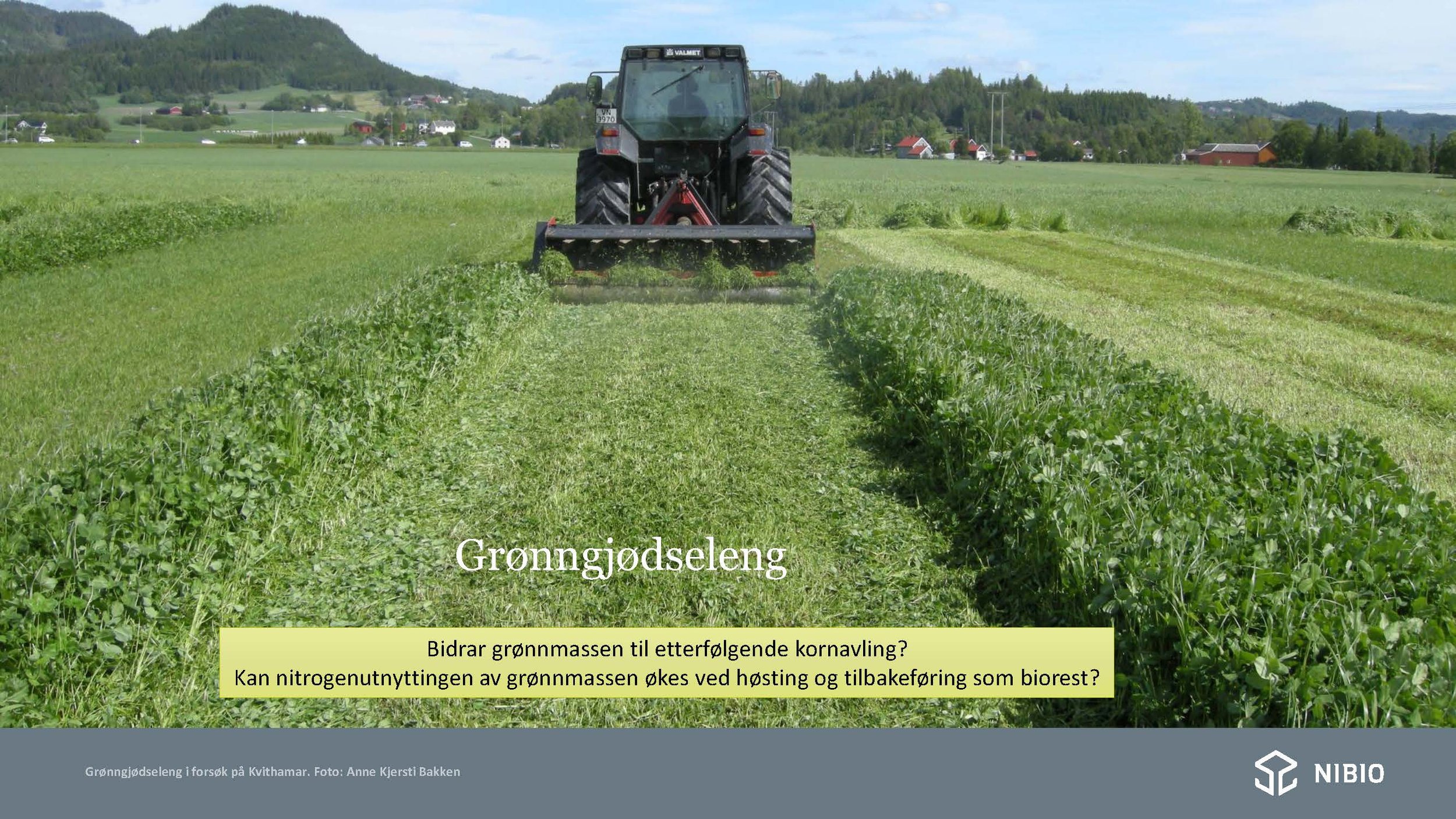 12 30 Åkerbruk Nitrogendynamikk Randi Berland_Side_12.jpg