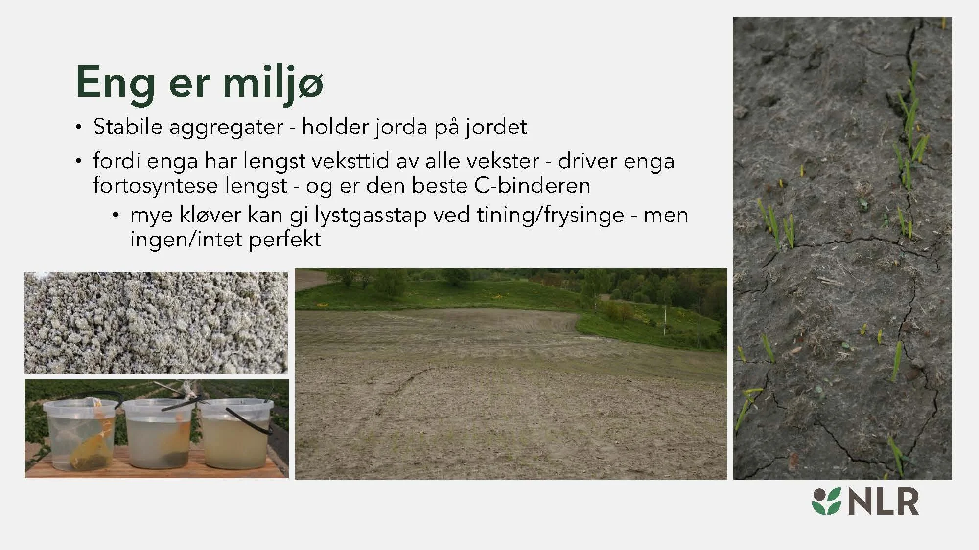 16.30 Den fantastiske enga! Kari Bysveen_Side_20.jpg