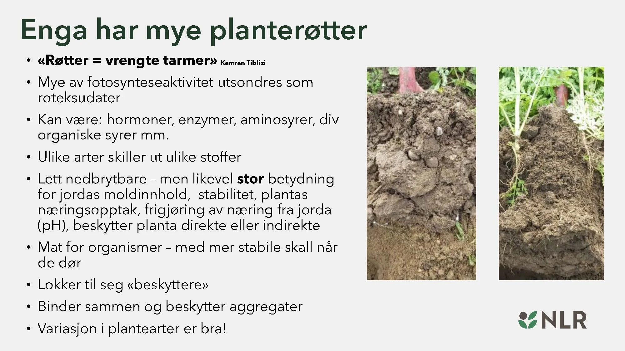 16.30 Den fantastiske enga! Kari Bysveen_Side_12.jpg