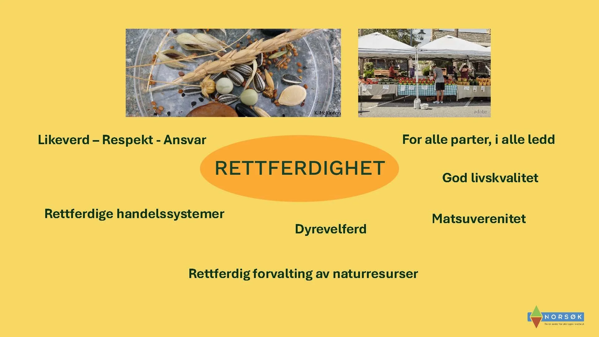 Hansdotter, Pommeresche og Hansen. De fire prinsippene for økologisk landbruk_hvor går vi og hvor står vi_kl15.30 _Side_06.jpg