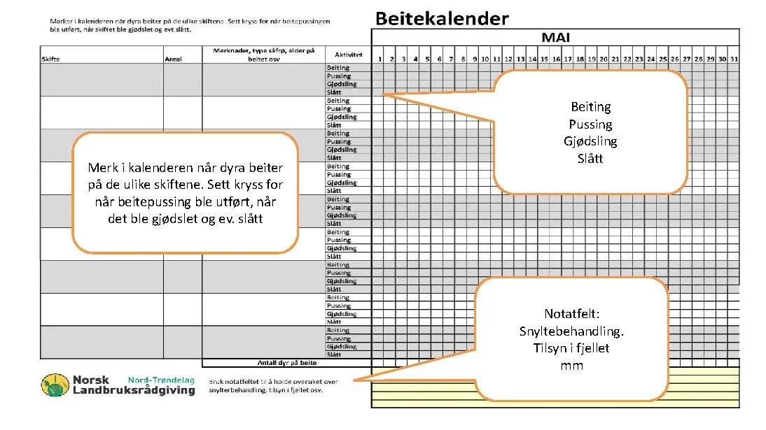 13.10 Torhild Svisdal Mjøen_optimalisere øko_saueproduksjon_Side_13.jpg