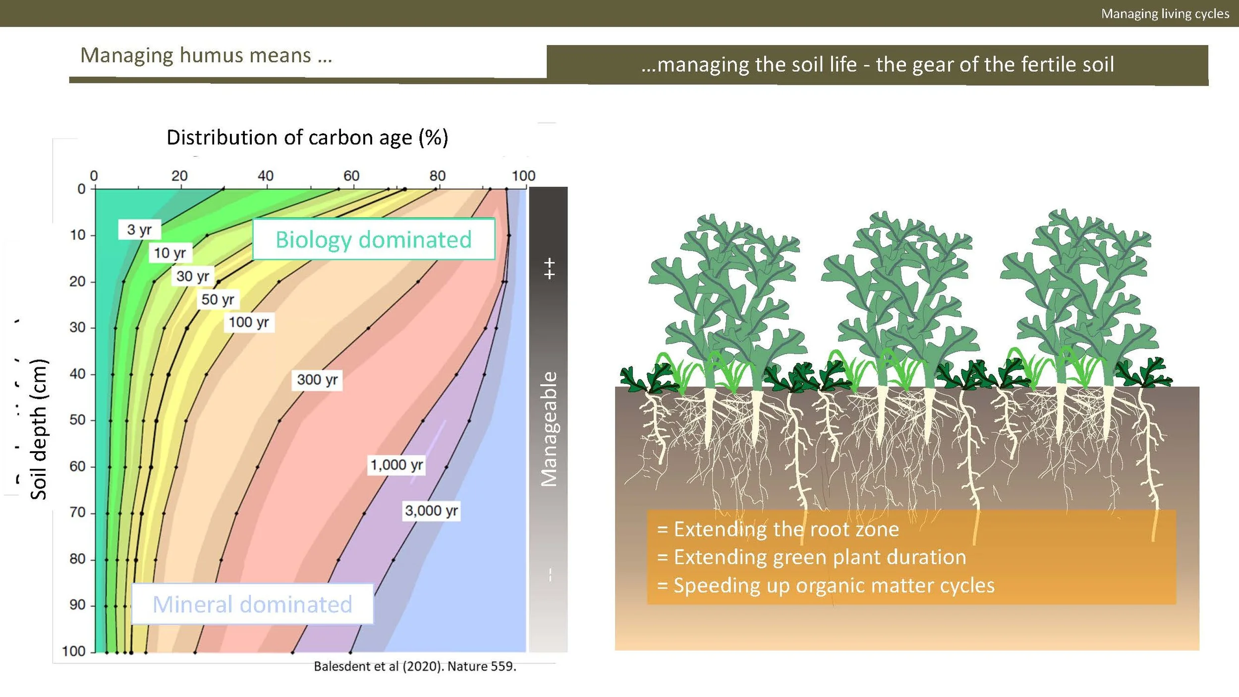 Norway presentation Final 1_Side_56.jpg