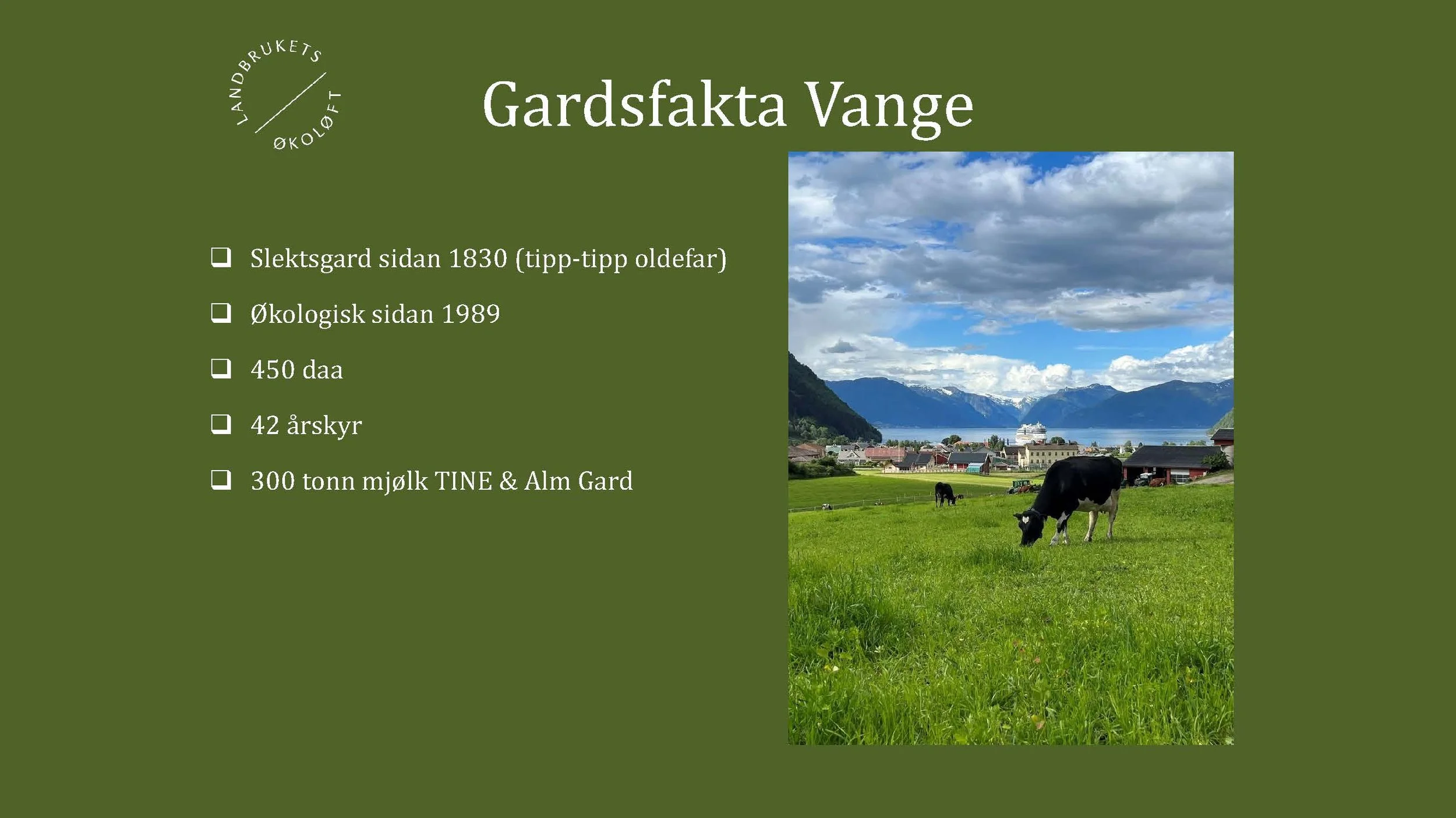 08.50 Lund, Rønning og Vange eksempel knytt til Sissel Hansen sitt foredrag_Side_14.jpg