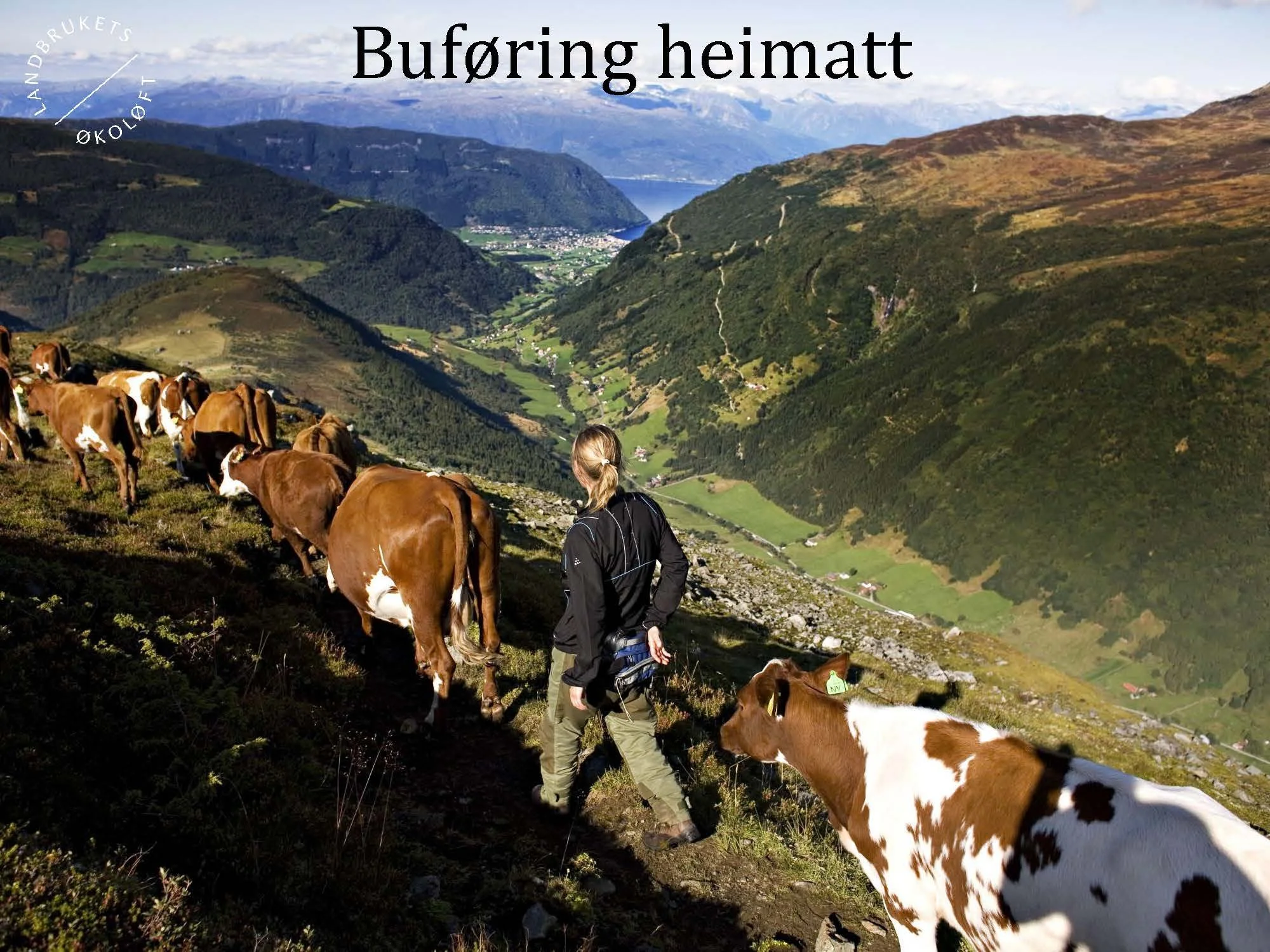 11.20 (2) Turid Vange Spydspiss_Side_09.jpg