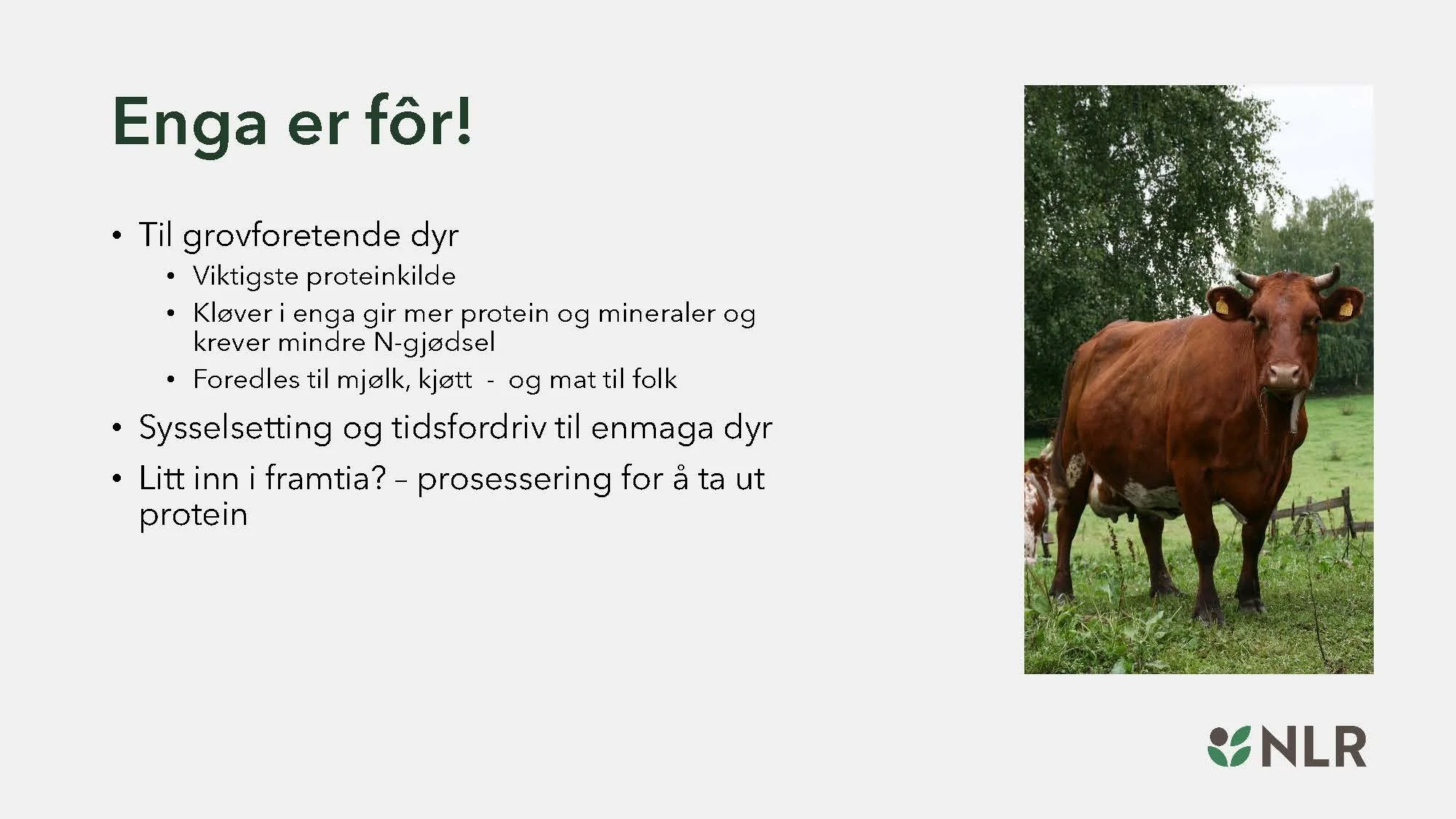 16.30 Den fantastiske enga! Kari Bysveen_Side_04.jpg