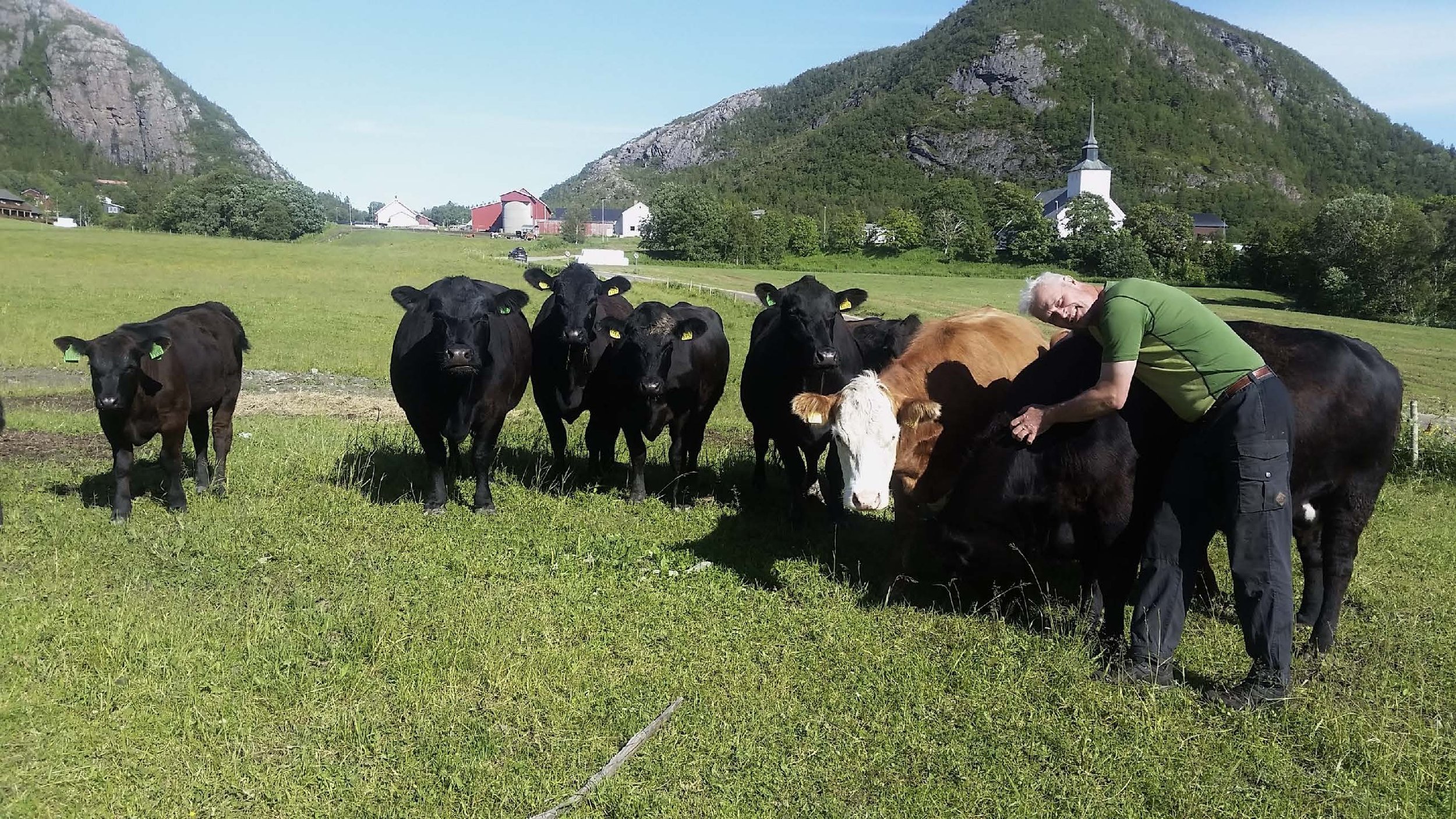 09 45 Åkerbruk Dun Gård, Jøa_Side_07.jpg