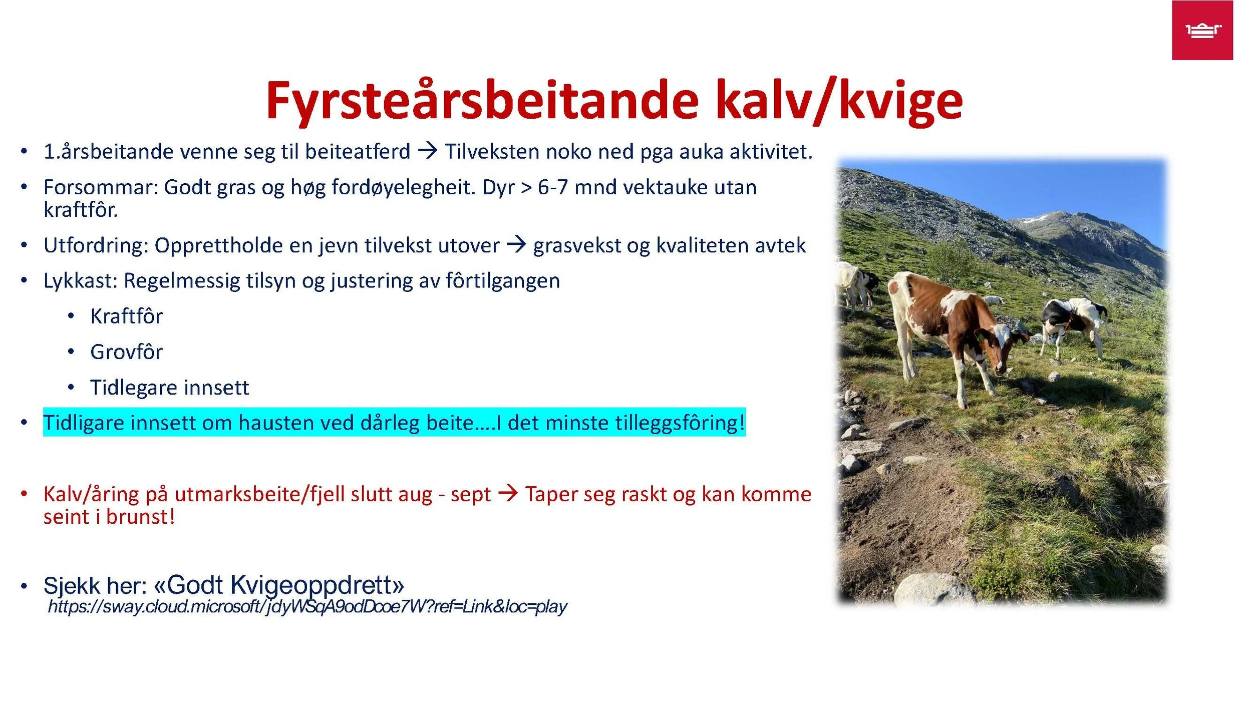 12.30 Frå nyfødt til vaksen Randi T. Garnmo_Side_06.jpg