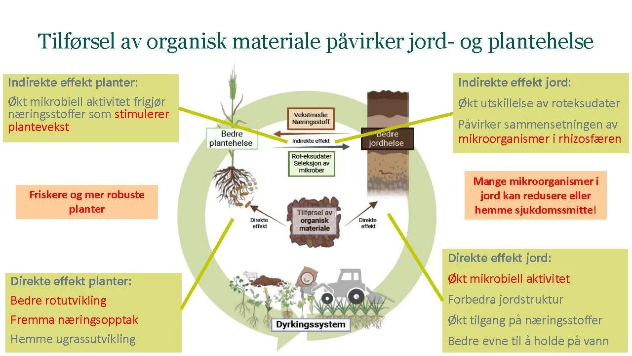 14 00  God jordhelse og plantehelse Heidi U Aamot Åkerbruk_Side_15.jpg