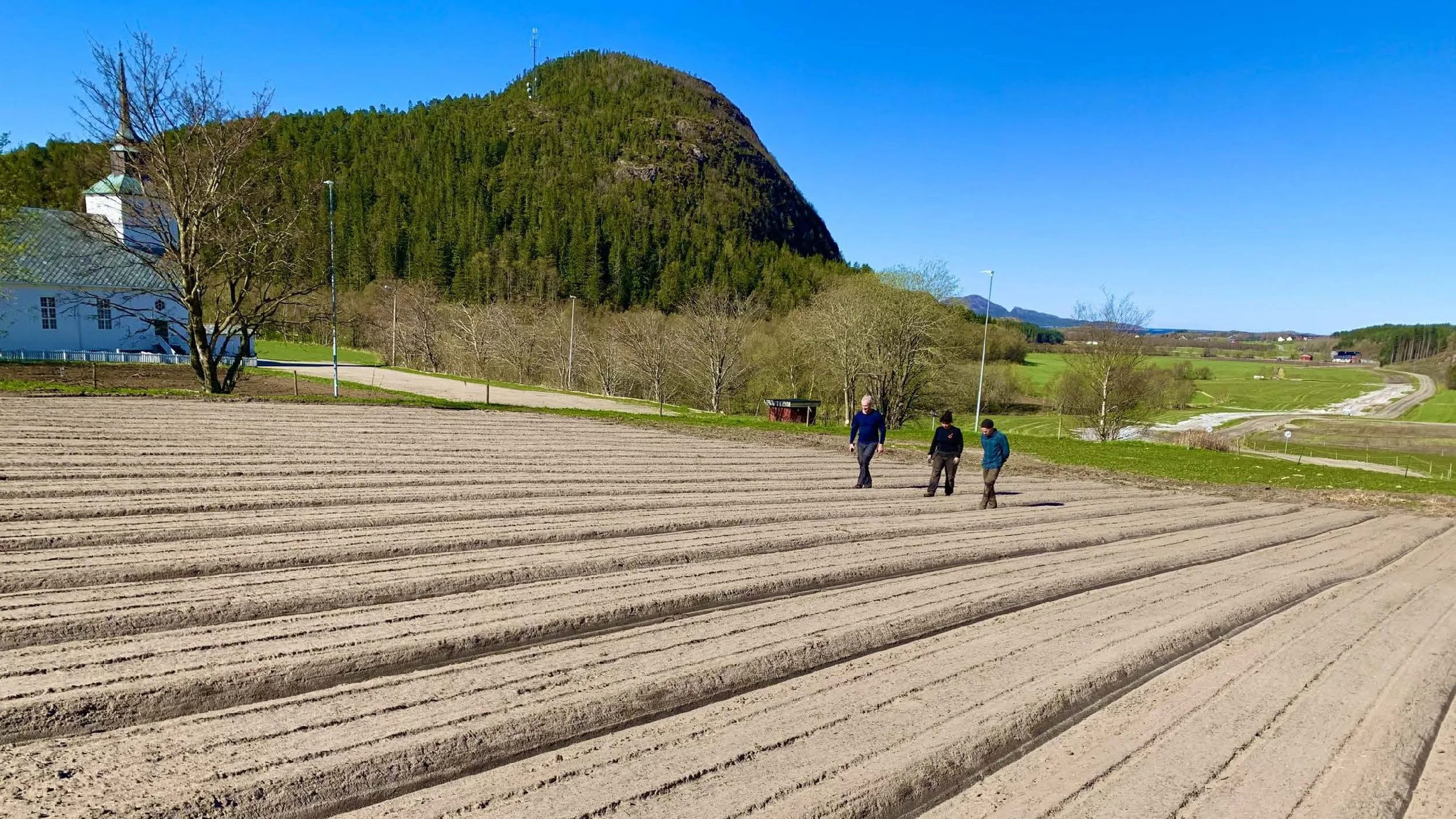 09 45 Åkerbruk Dun Gård, Jøa_Side_15.jpg