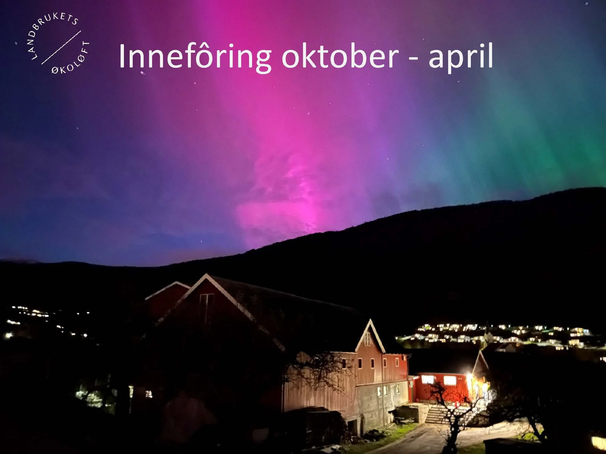 11.20 (2) Turid Vange Spydspiss_Side_10.jpg