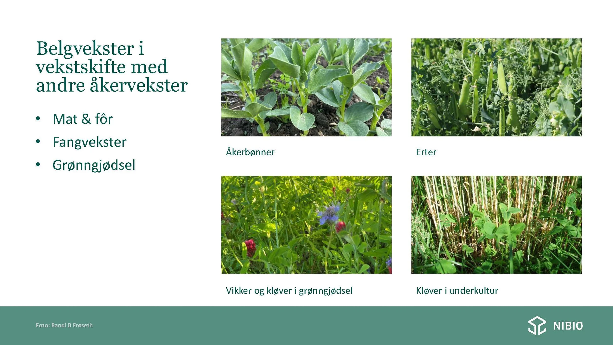 12 30 Åkerbruk Nitrogendynamikk Randi Berland_Side_04.jpg