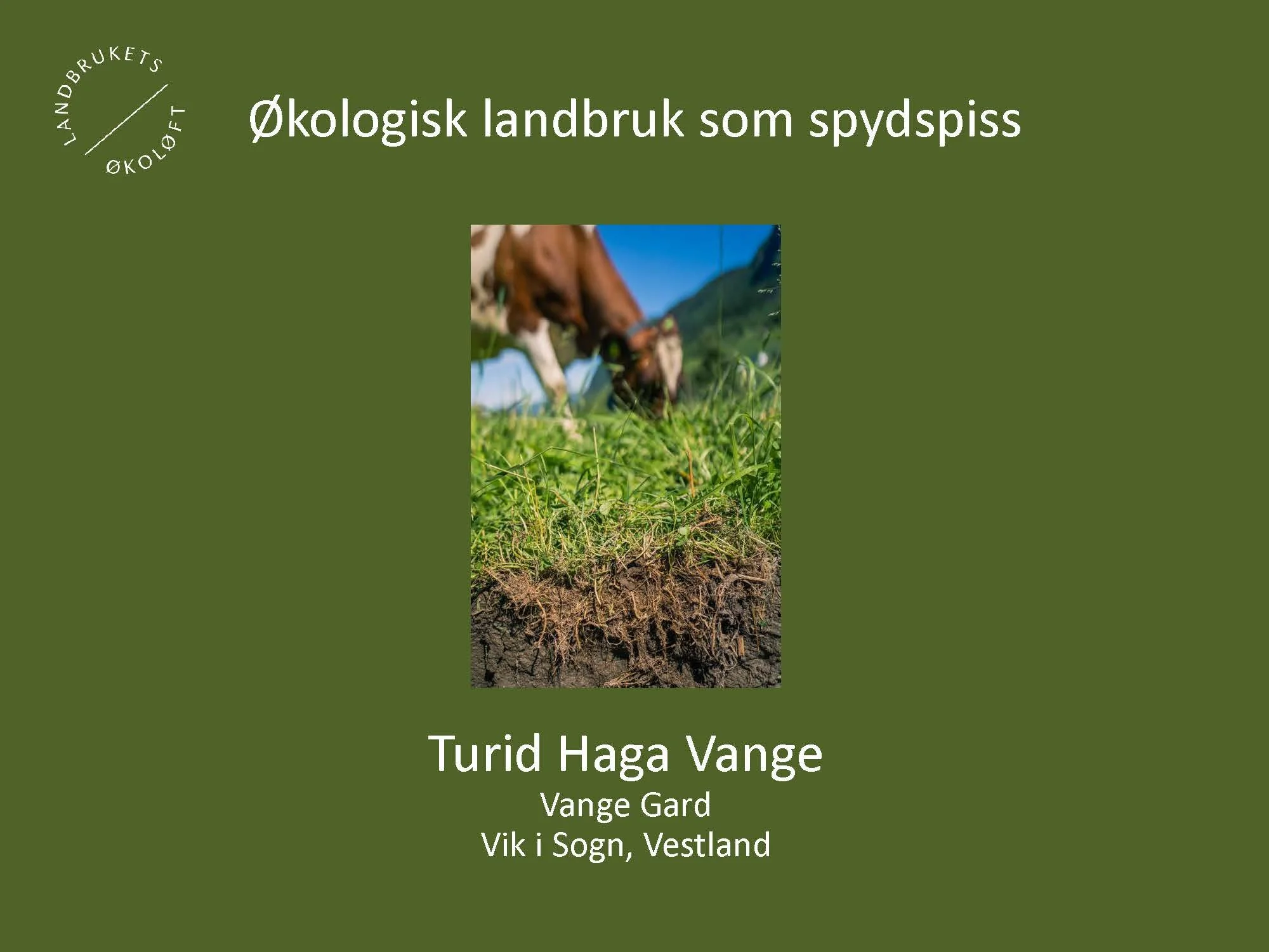 11.20 (2) Turid Vange Spydspiss_Side_01.jpg