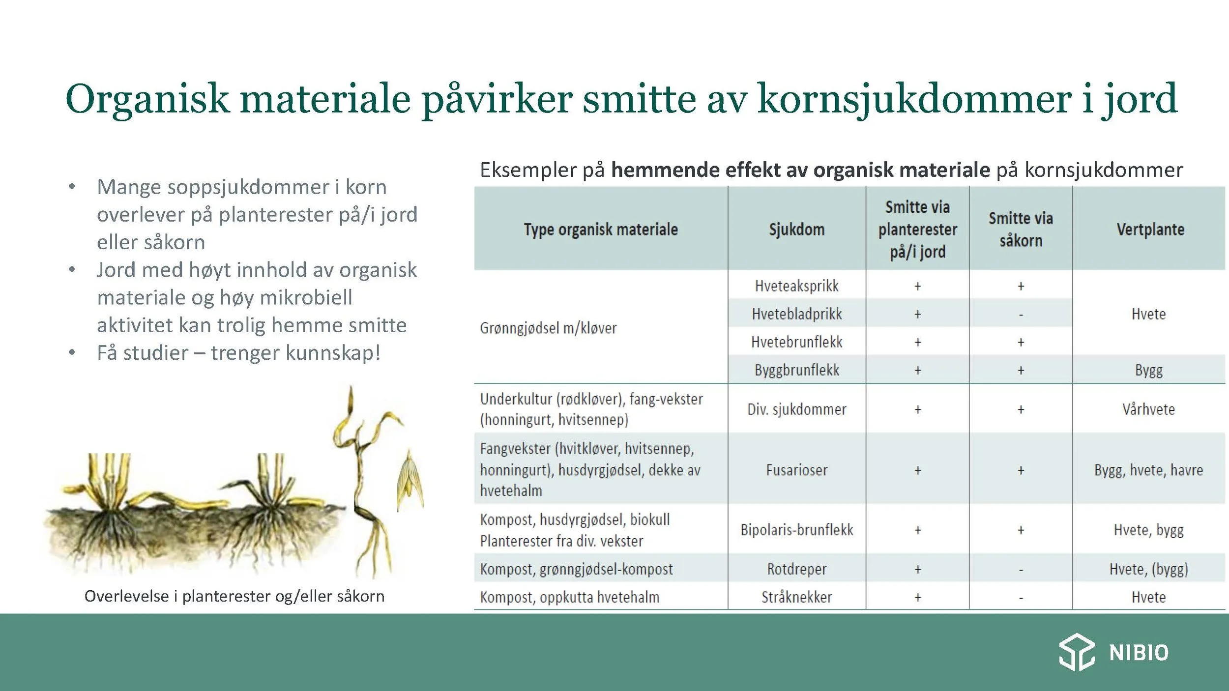 14 00  God jordhelse og plantehelse Heidi U Aamot Åkerbruk_Side_20.jpg