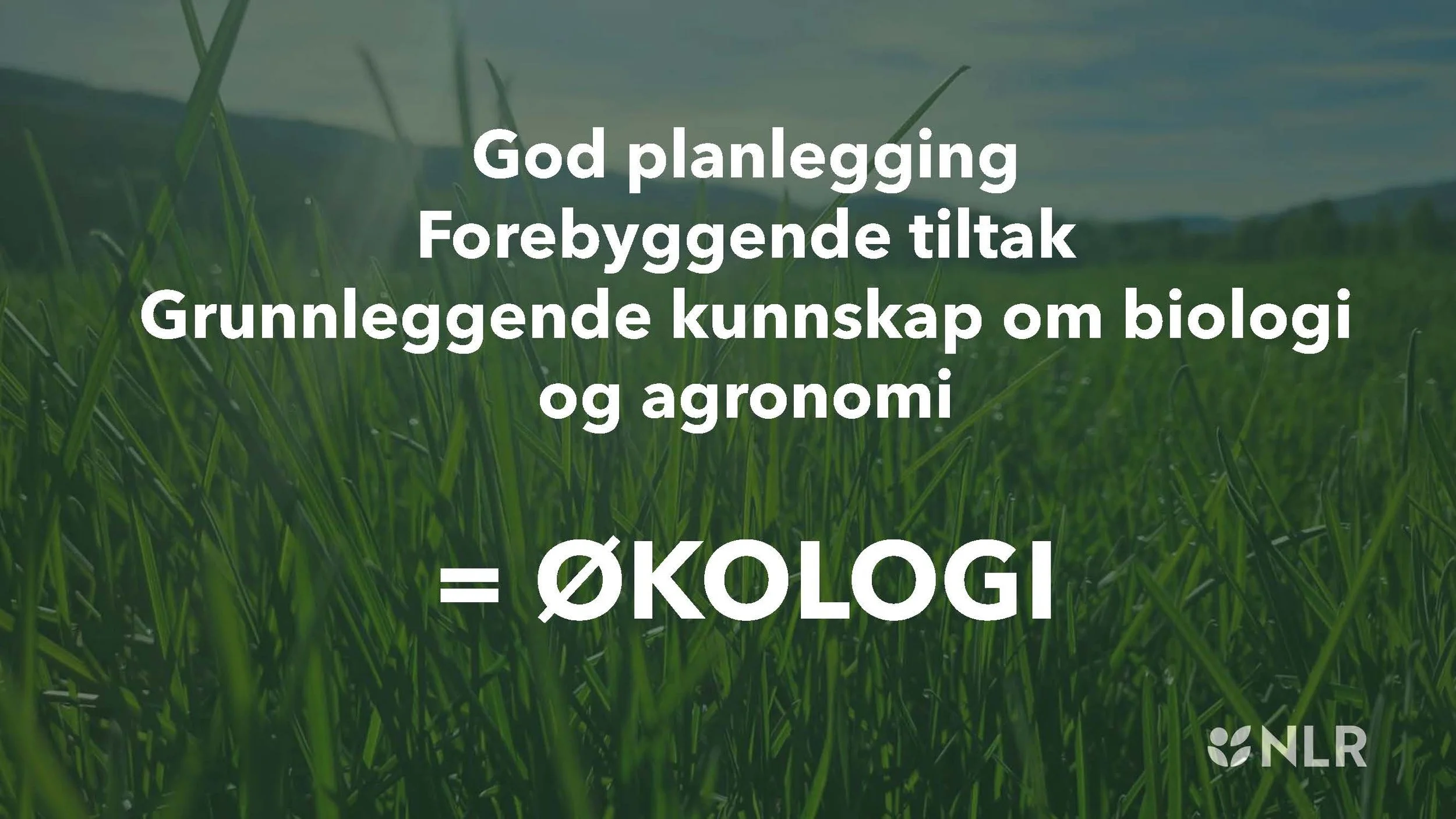 11.20 (3) Silja Valand Spydspissfunksjon_Side_5.jpg