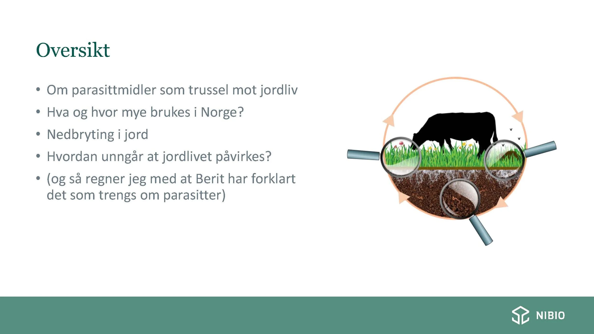 14.20 Behandling mot invollsnyltere - påvirkning jordlivet Erik J. Joner_Side_02.jpg