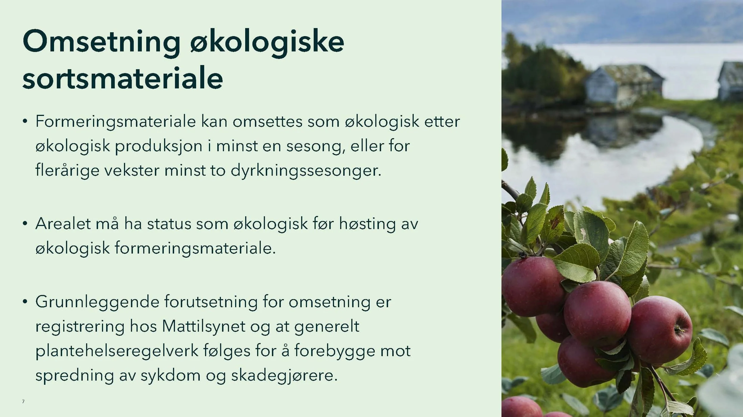 Monica 2_Side_07.jpg