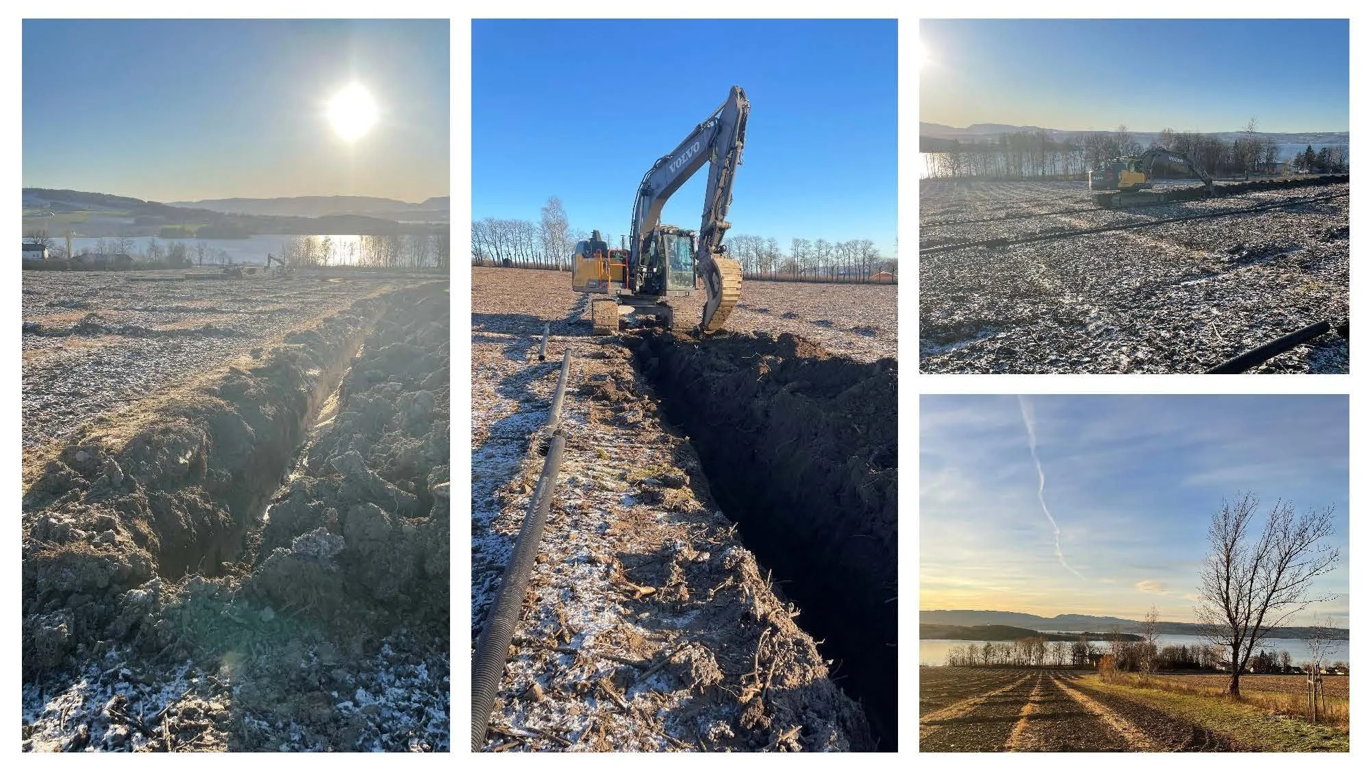 14 00 Utfordringer i økologisk ribes og behov for større volum Stine Mølstad _Side_23.jpg