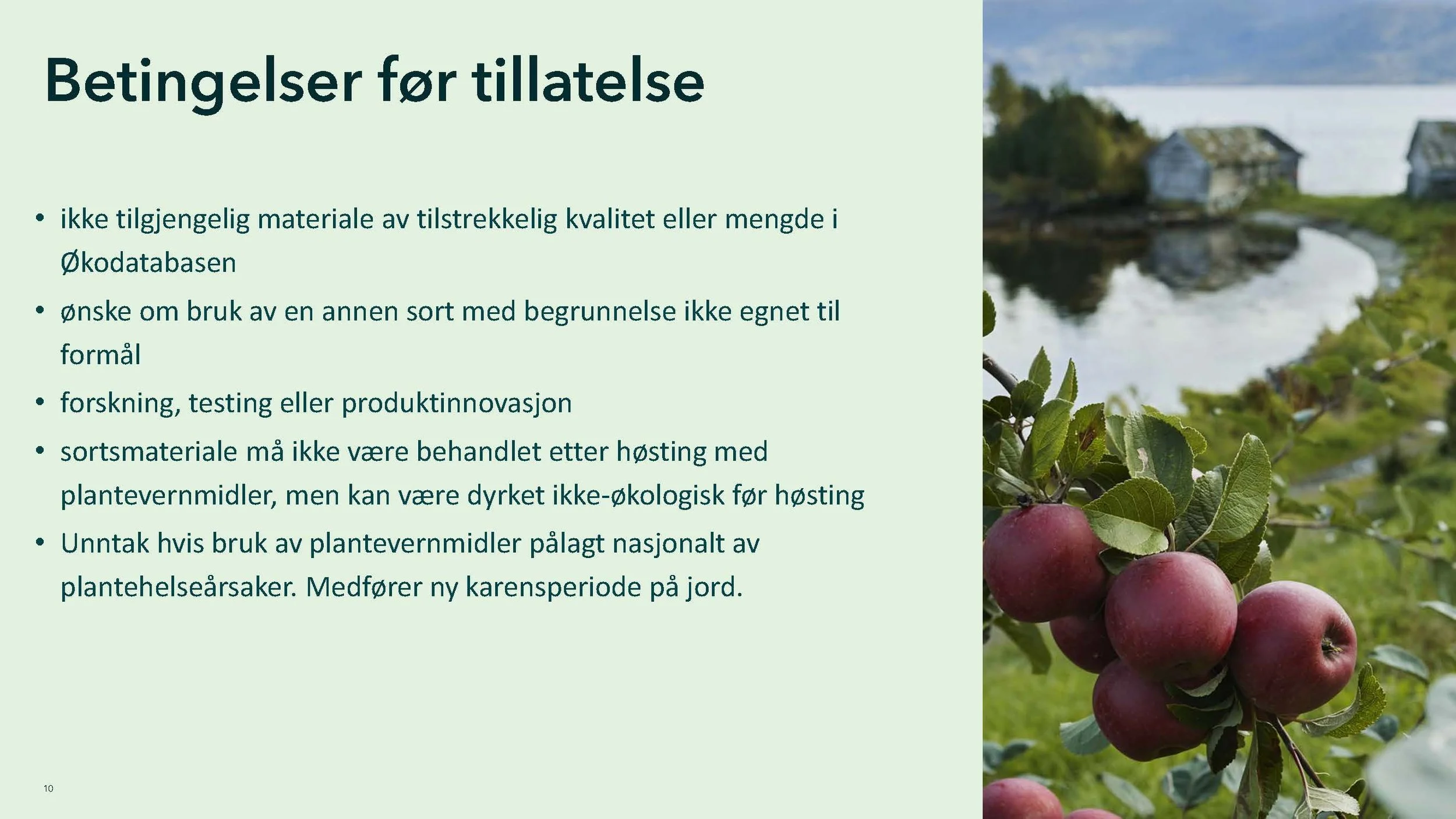 Monica 2_Side_10.jpg