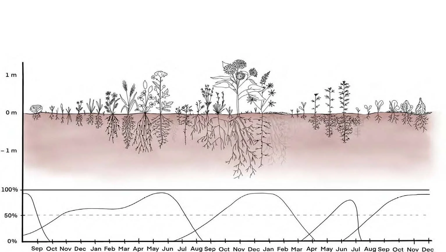 08 00 Dyrking av grønnsakser uten eksterne innsatsfaktorer Dieter Pansegrau_Side_25.jpg