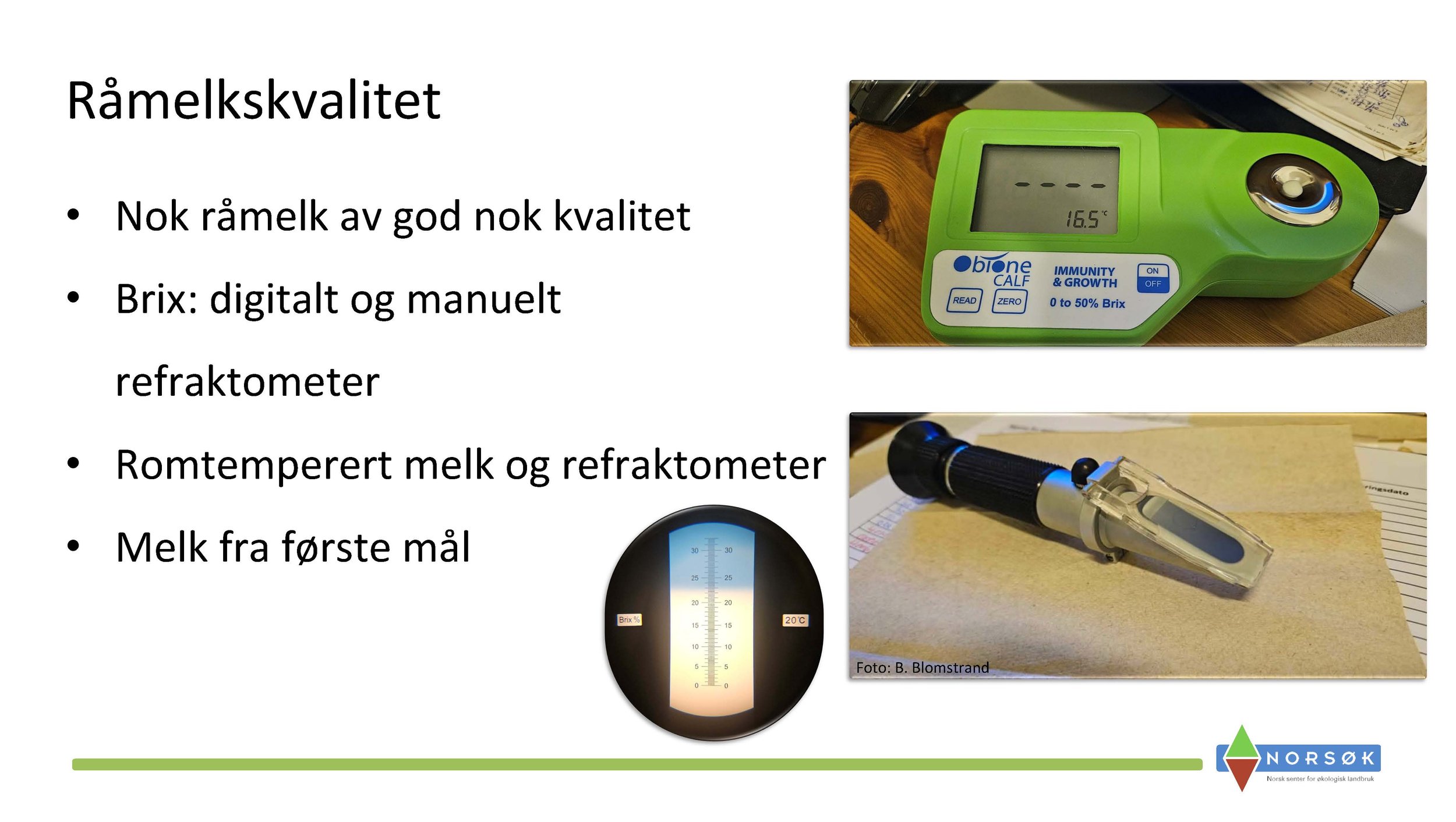 12.50 Berit Blomstrand_råmelkas betydning_Side_05.jpg