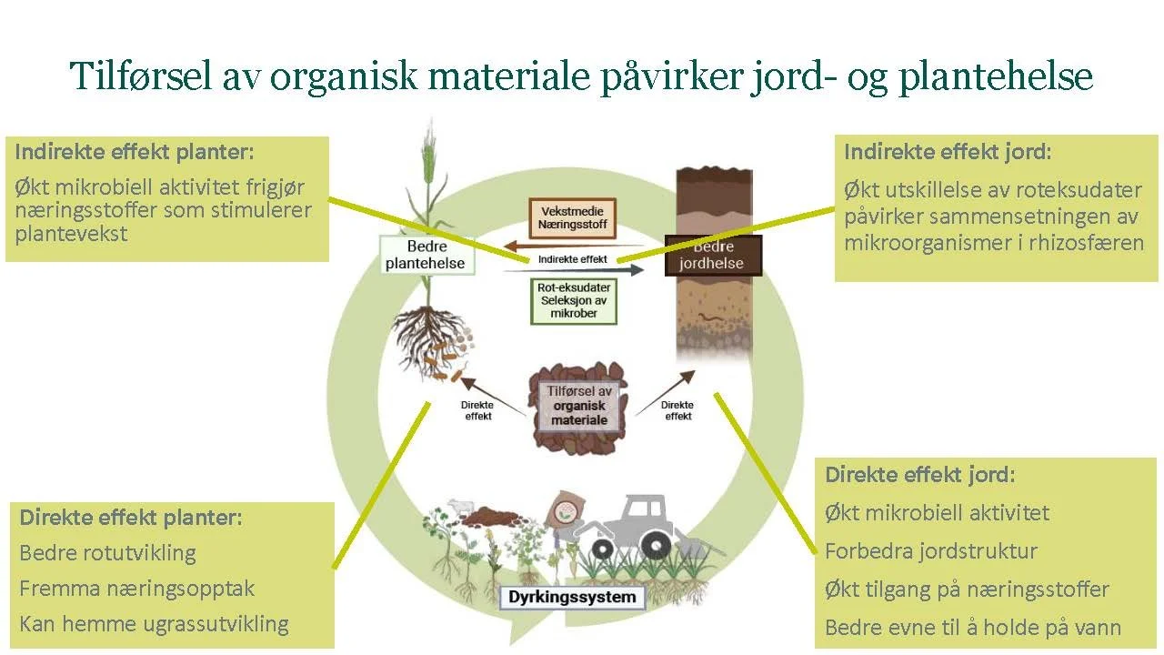 14 00  God jordhelse og plantehelse Heidi U Aamot Åkerbruk_Side_14.jpg