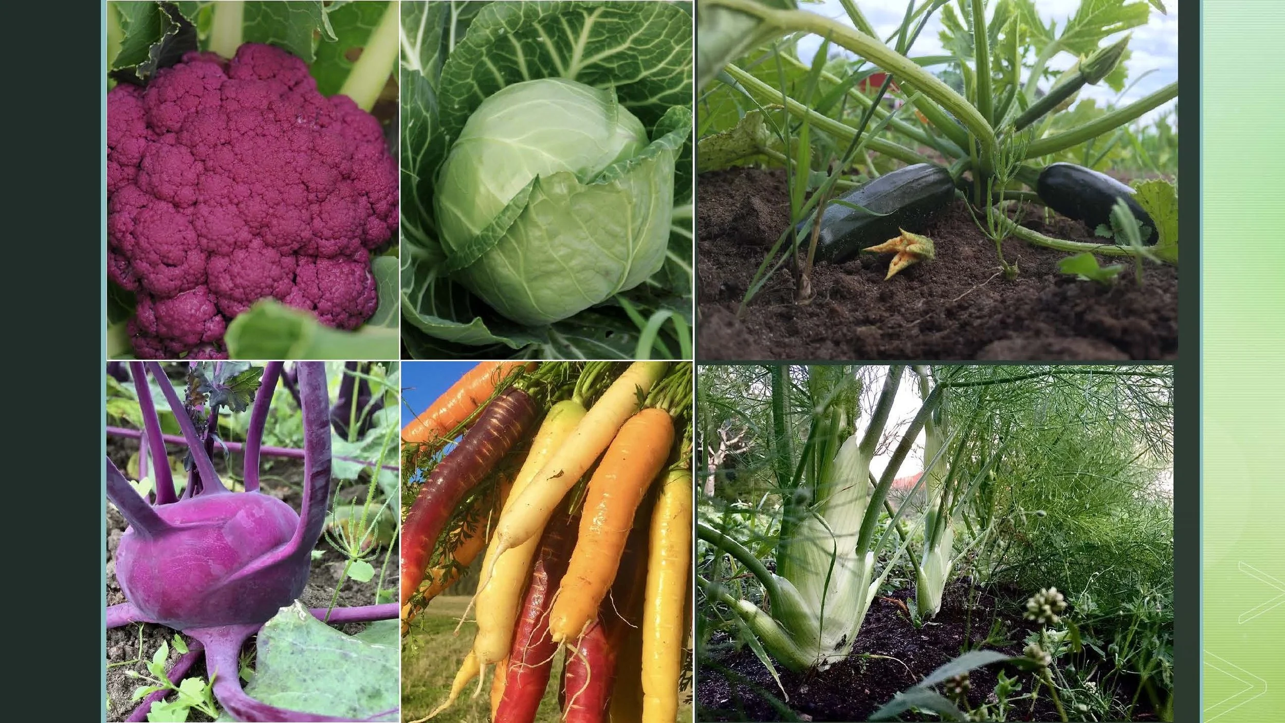 09 45 Åkerbruk Dun Gård, Jøa_Side_08.jpg