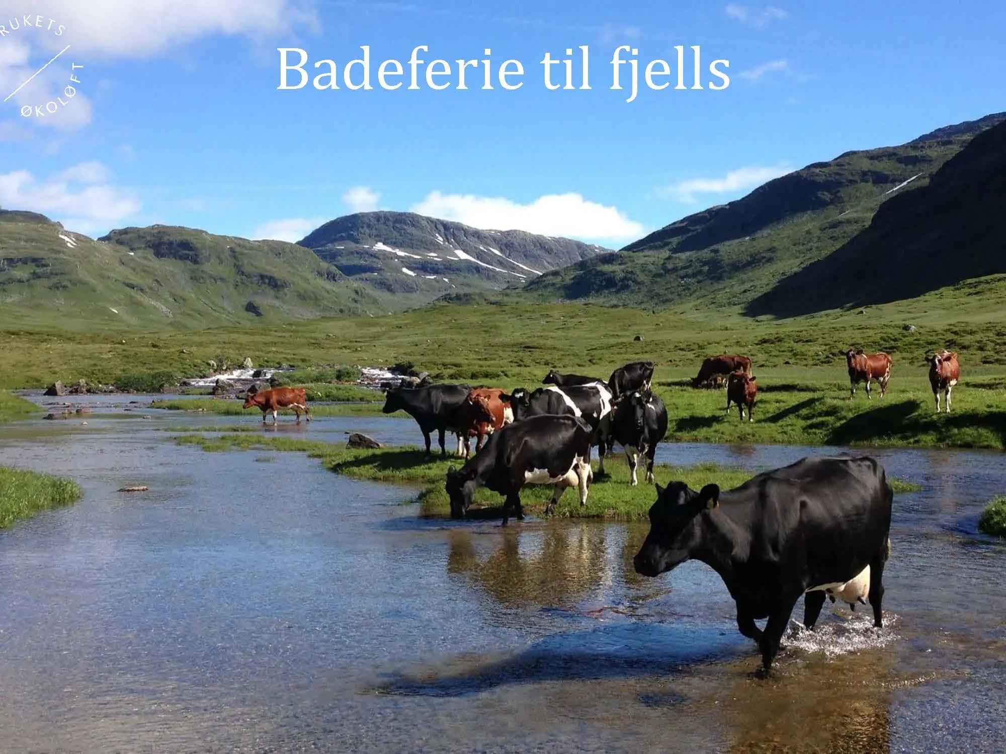 11.20 (2) Turid Vange Spydspiss_Side_06.jpg