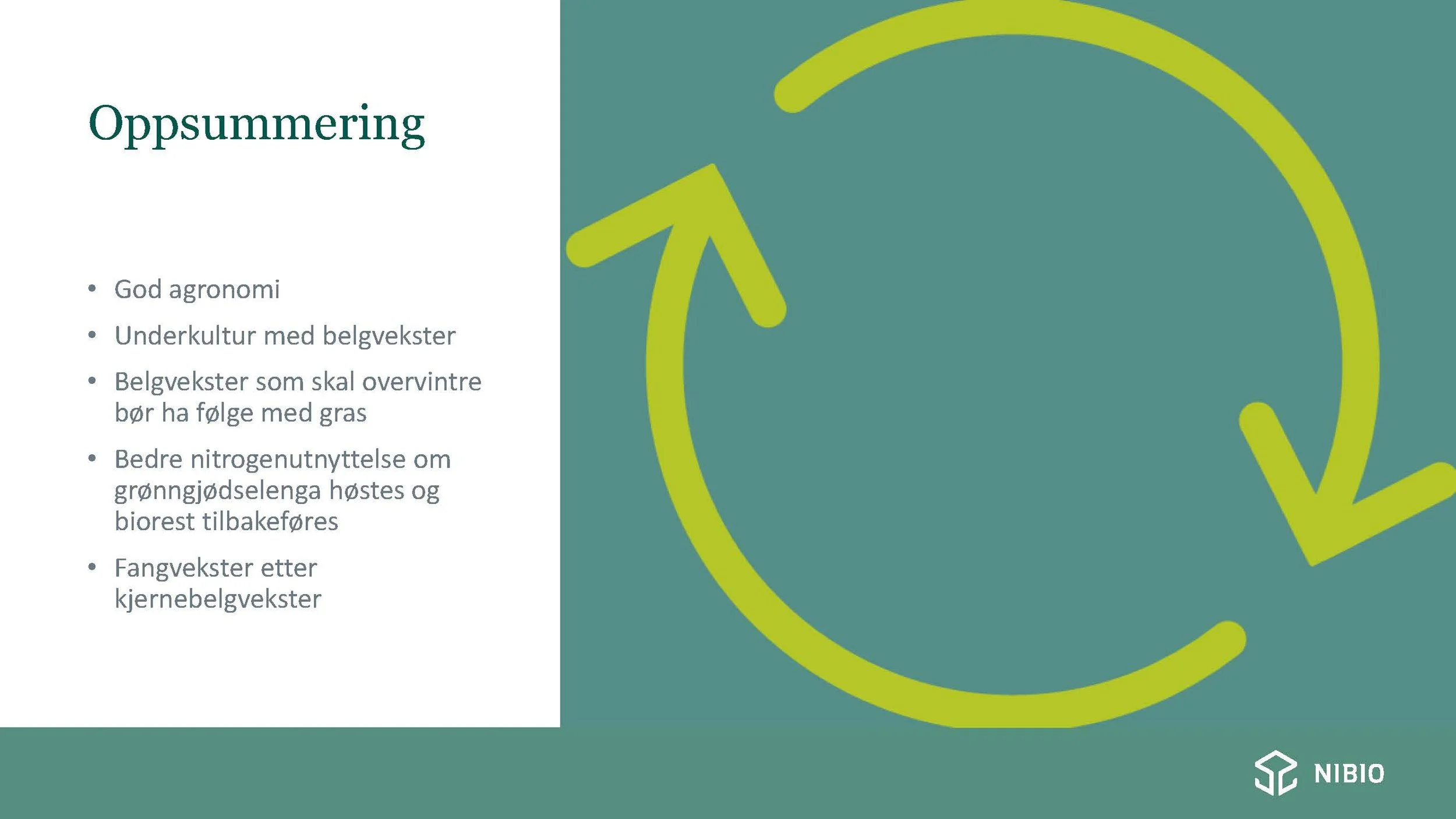 12 30 Åkerbruk Nitrogendynamikk Randi Berland_Side_23.jpg