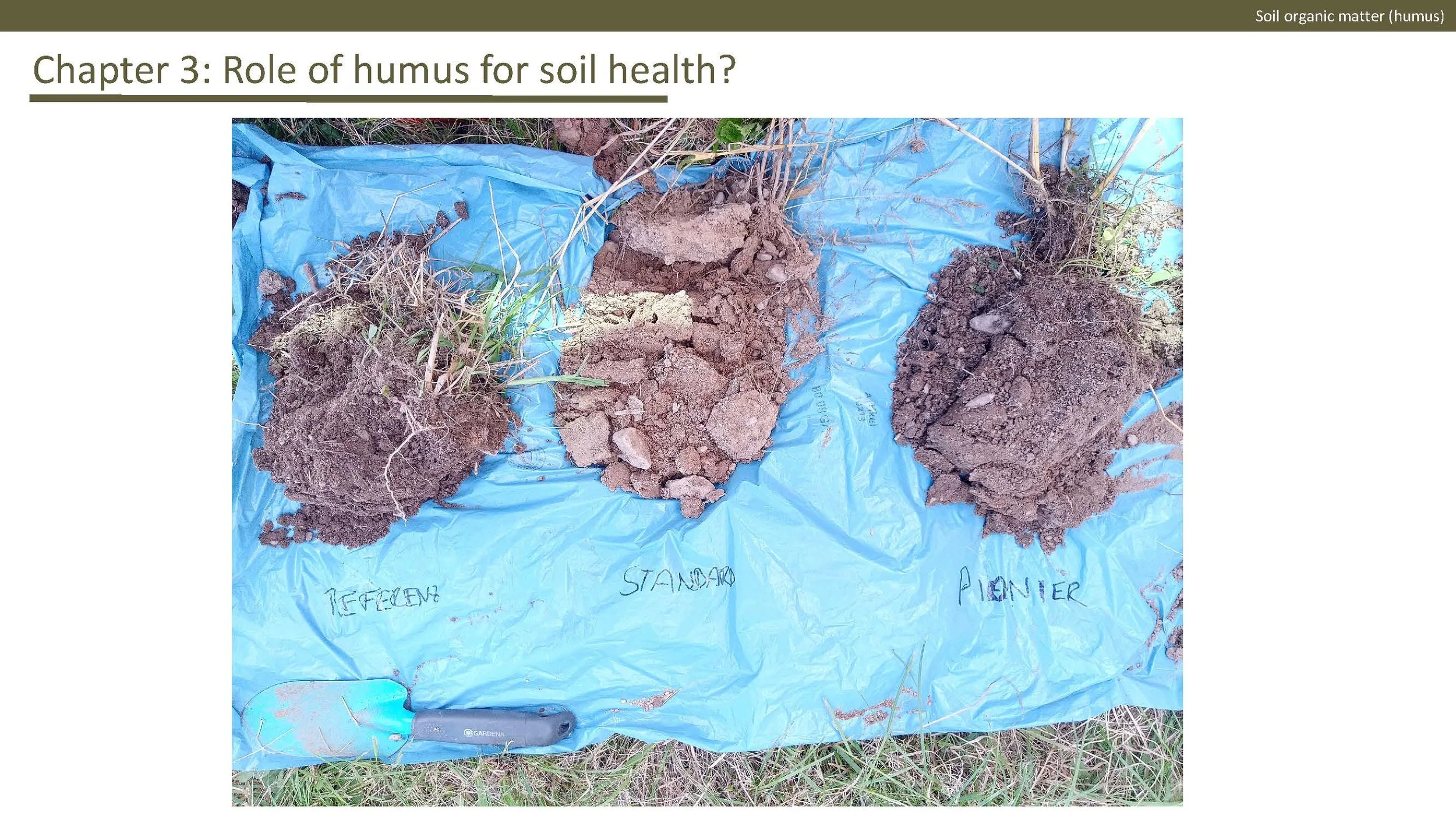 Norway presentation Final 1_Side_34.jpg