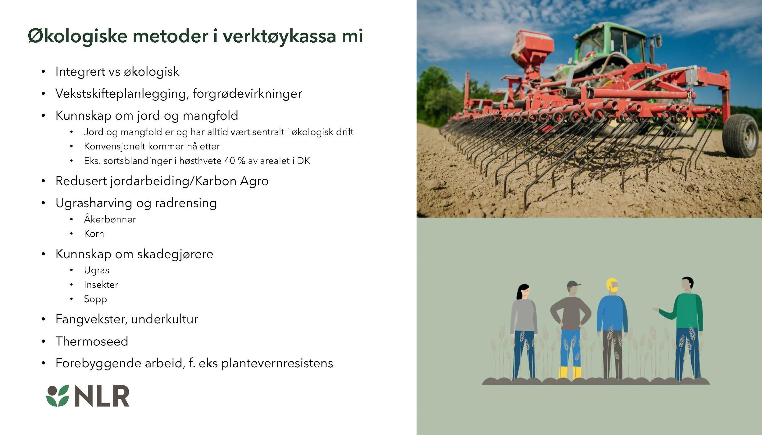 11.20 (3) Silja Valand Spydspissfunksjon_Side_3.jpg