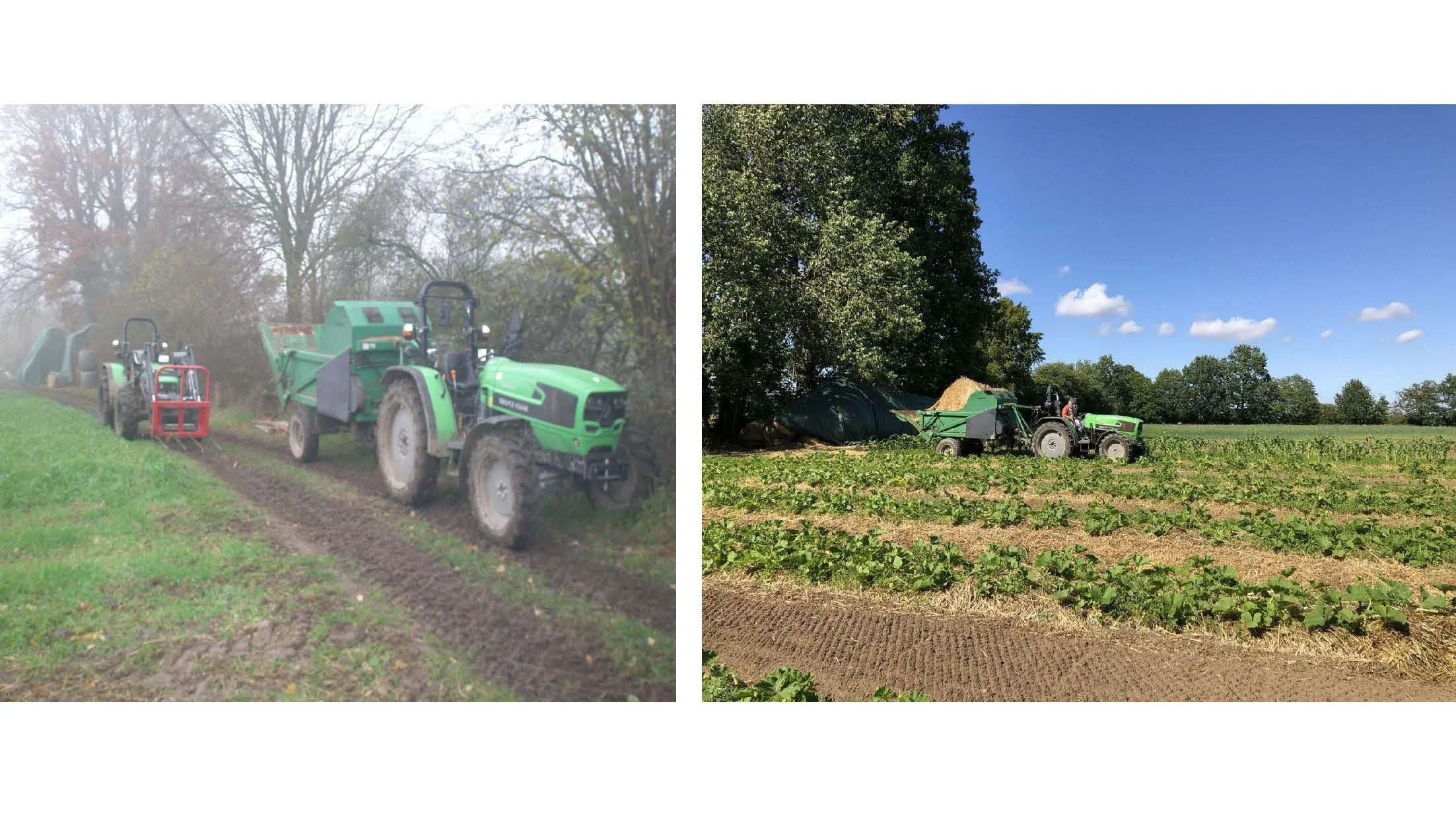 08 00 Dyrking av grønnsakser uten eksterne innsatsfaktorer Dieter Pansegrau_Side_37.jpg