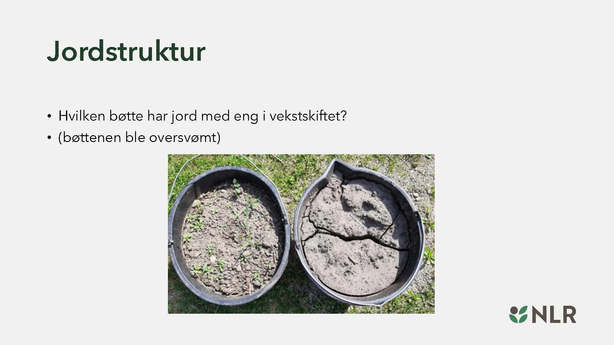 16.30 Den fantastiske enga! Kari Bysveen_Side_22.jpg