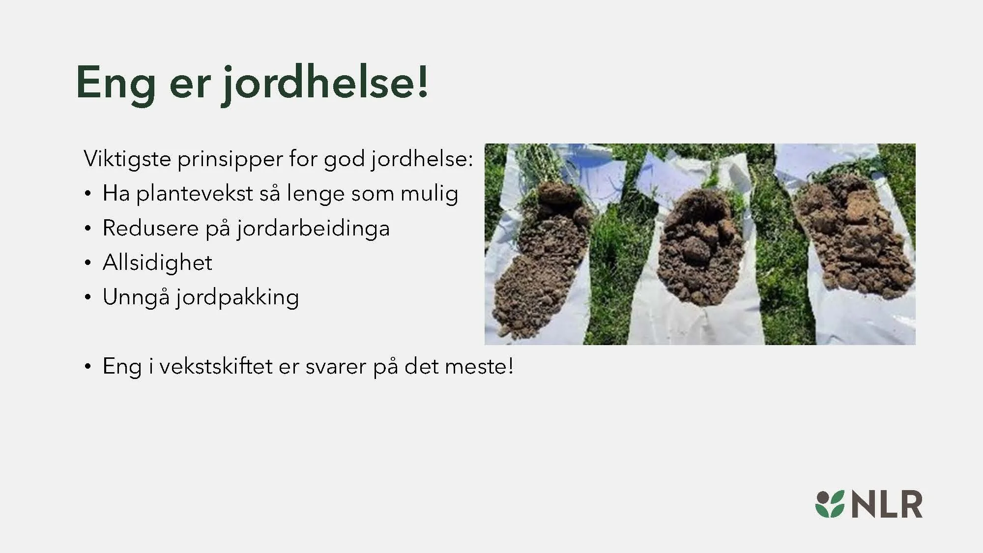 16.30 Den fantastiske enga! Kari Bysveen_Side_29.jpg