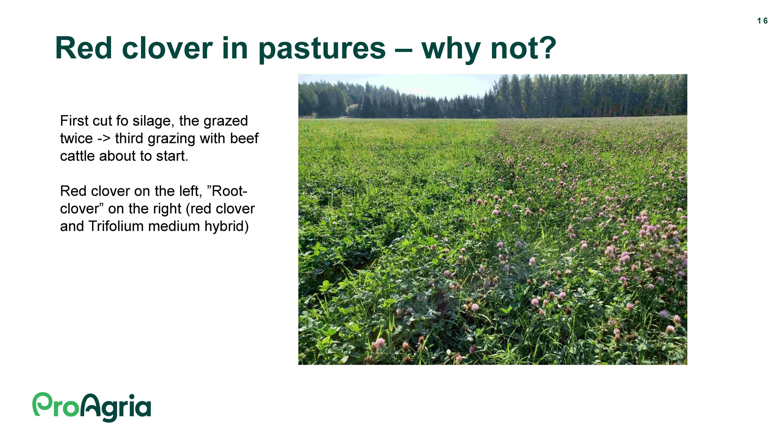 11.05 Anne Kristin Løes Økolandbruket beredskap og bærekraft-1_Side_12_Side_16.jpg