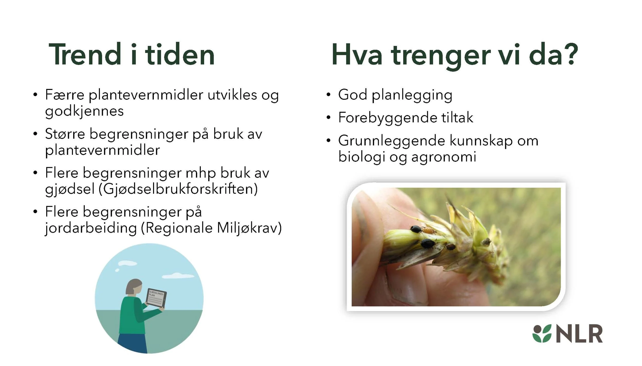 11.20 (3) Silja Valand Spydspissfunksjon_Side_4.jpg