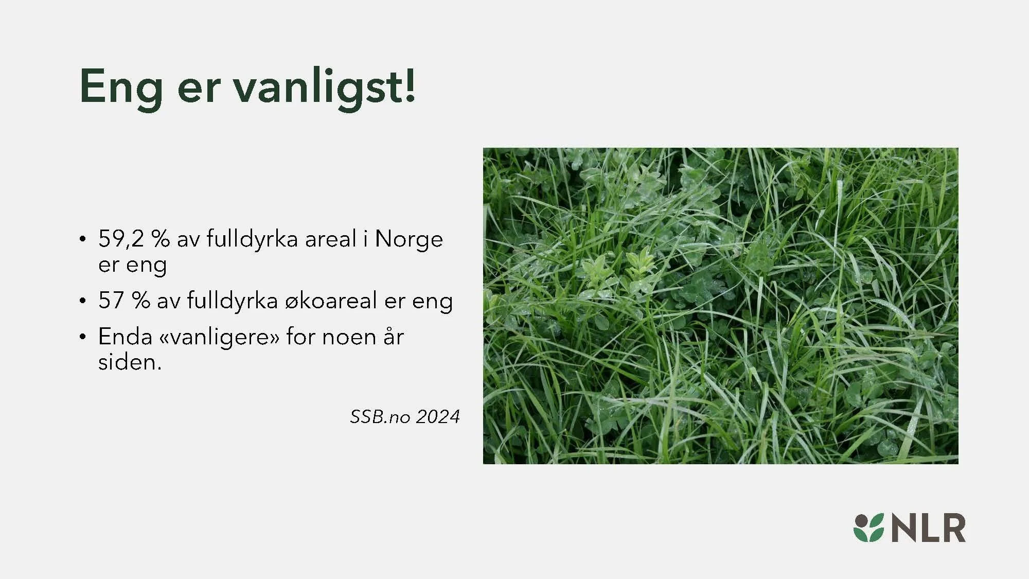 16.30 Den fantastiske enga! Kari Bysveen_Side_03.jpg