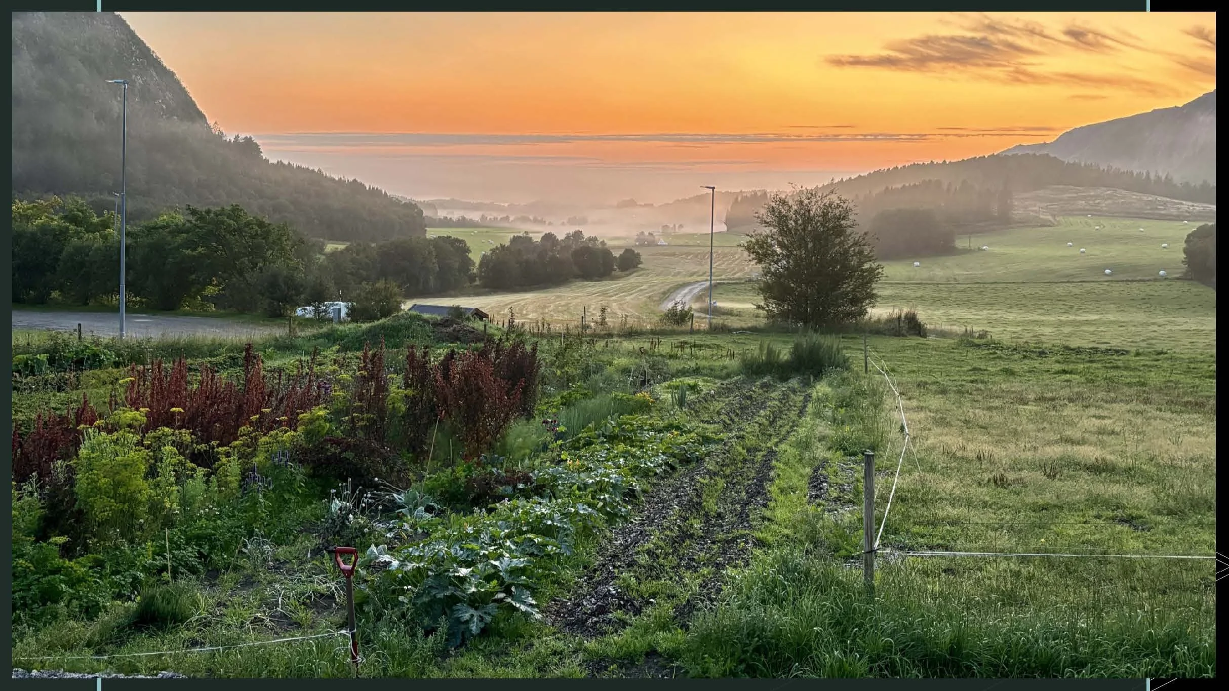 09 45 Åkerbruk Dun Gård, Jøa_Side_33.jpg