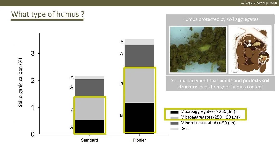 Norway presentation Final 1_Side_50.jpg