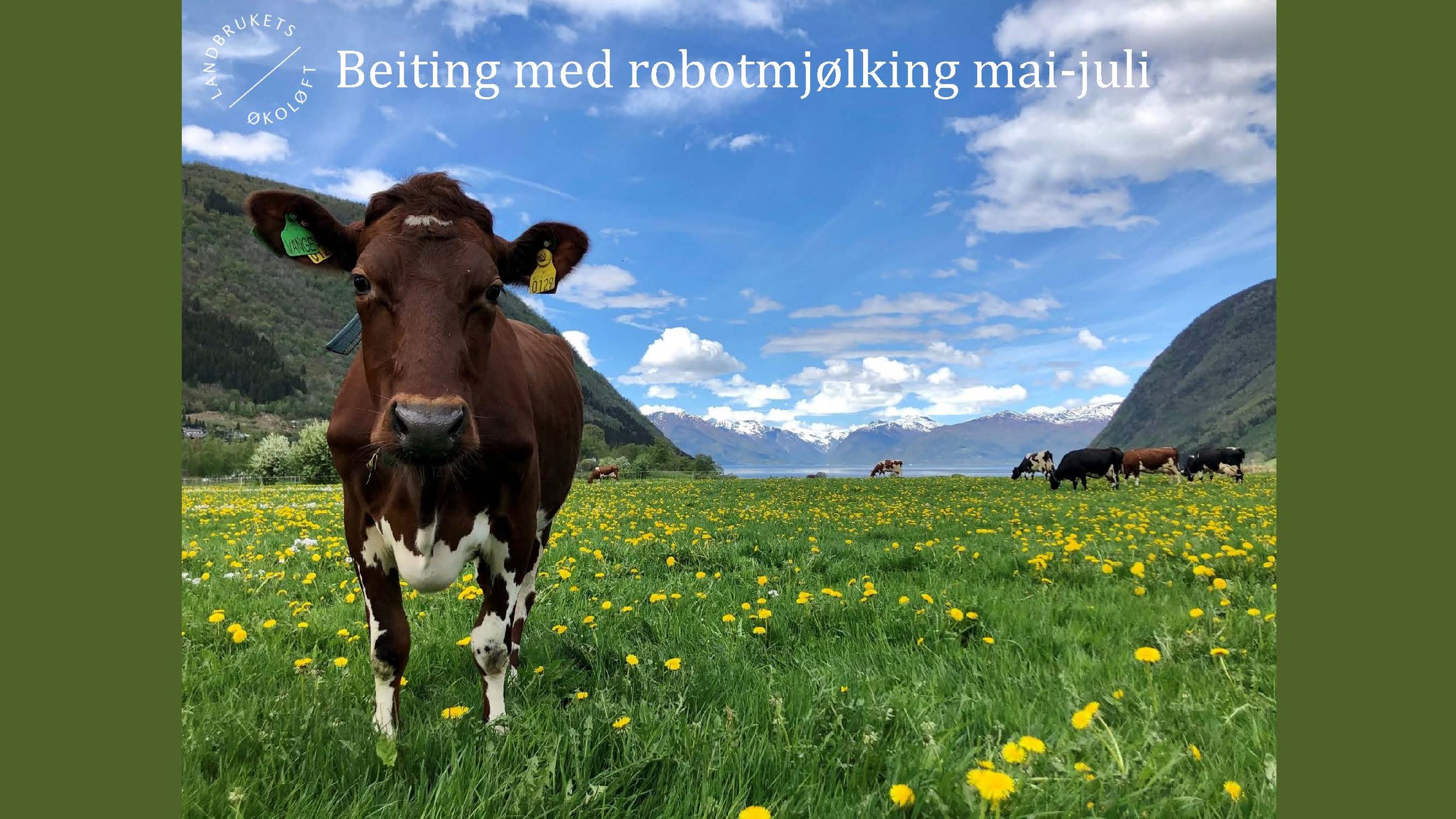 08.50 Lund, Rønning og Vange eksempel knytt til Sissel Hansen sitt foredrag_Side_16.jpg