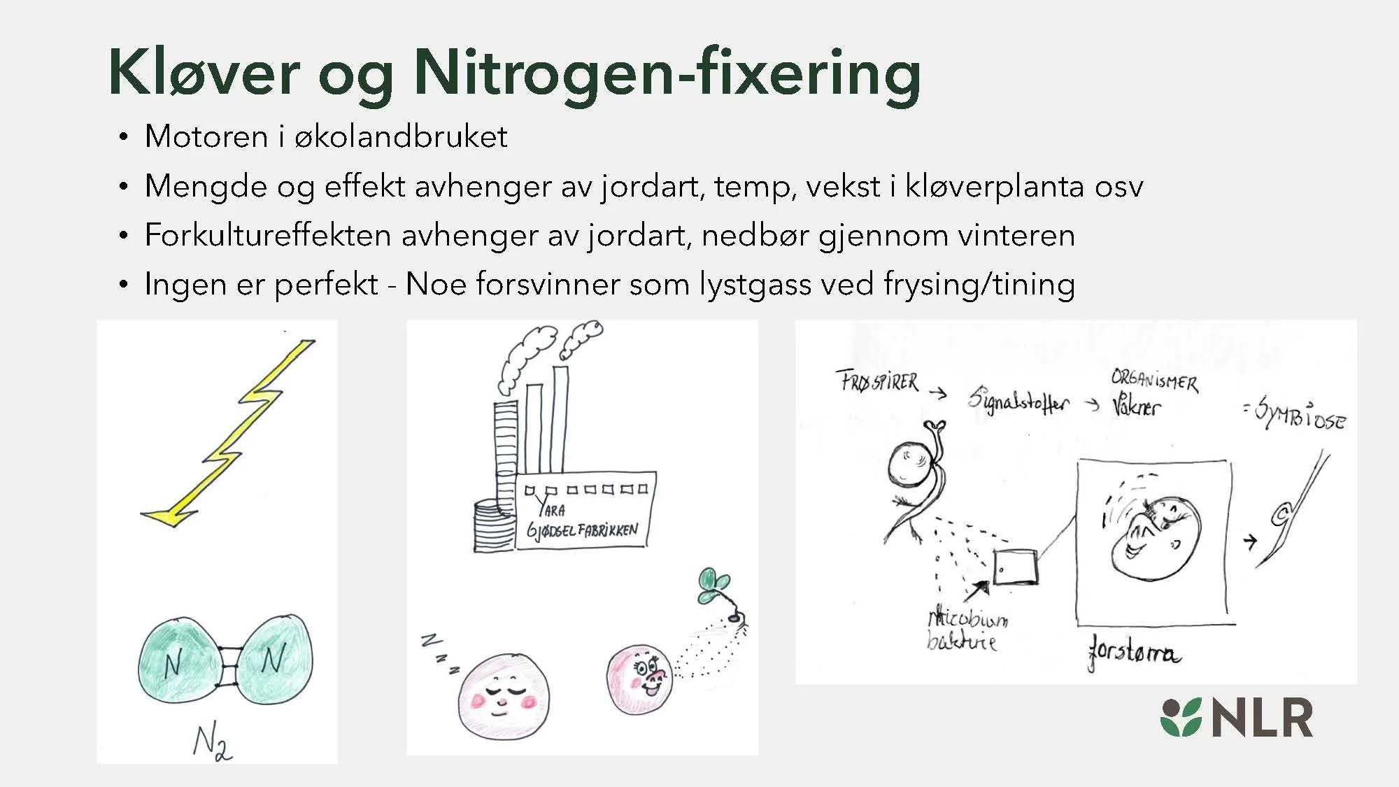 16.30 Den fantastiske enga! Kari Bysveen_Side_07.jpg