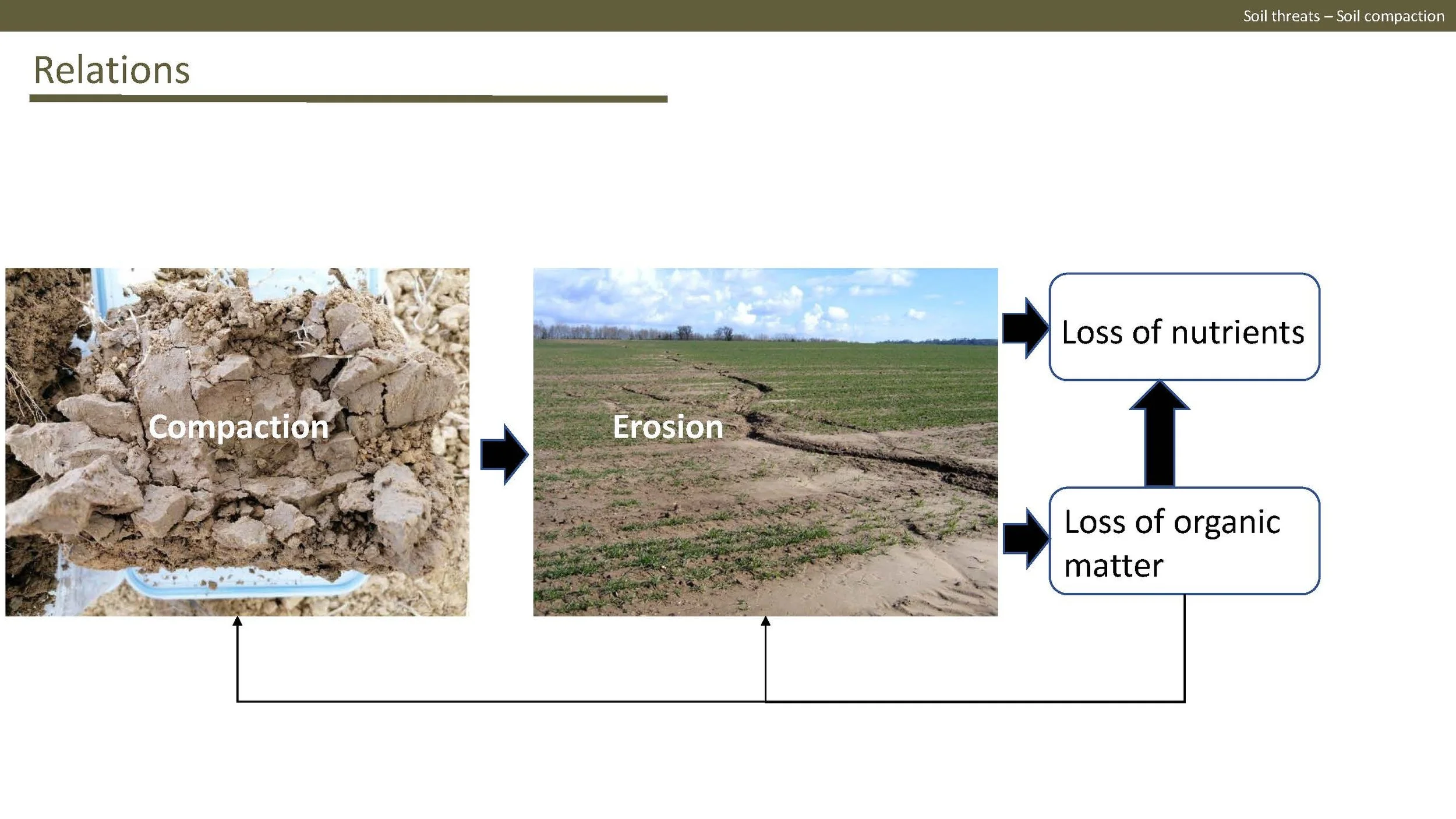 Norway presentation Final 1_Side_10.jpg