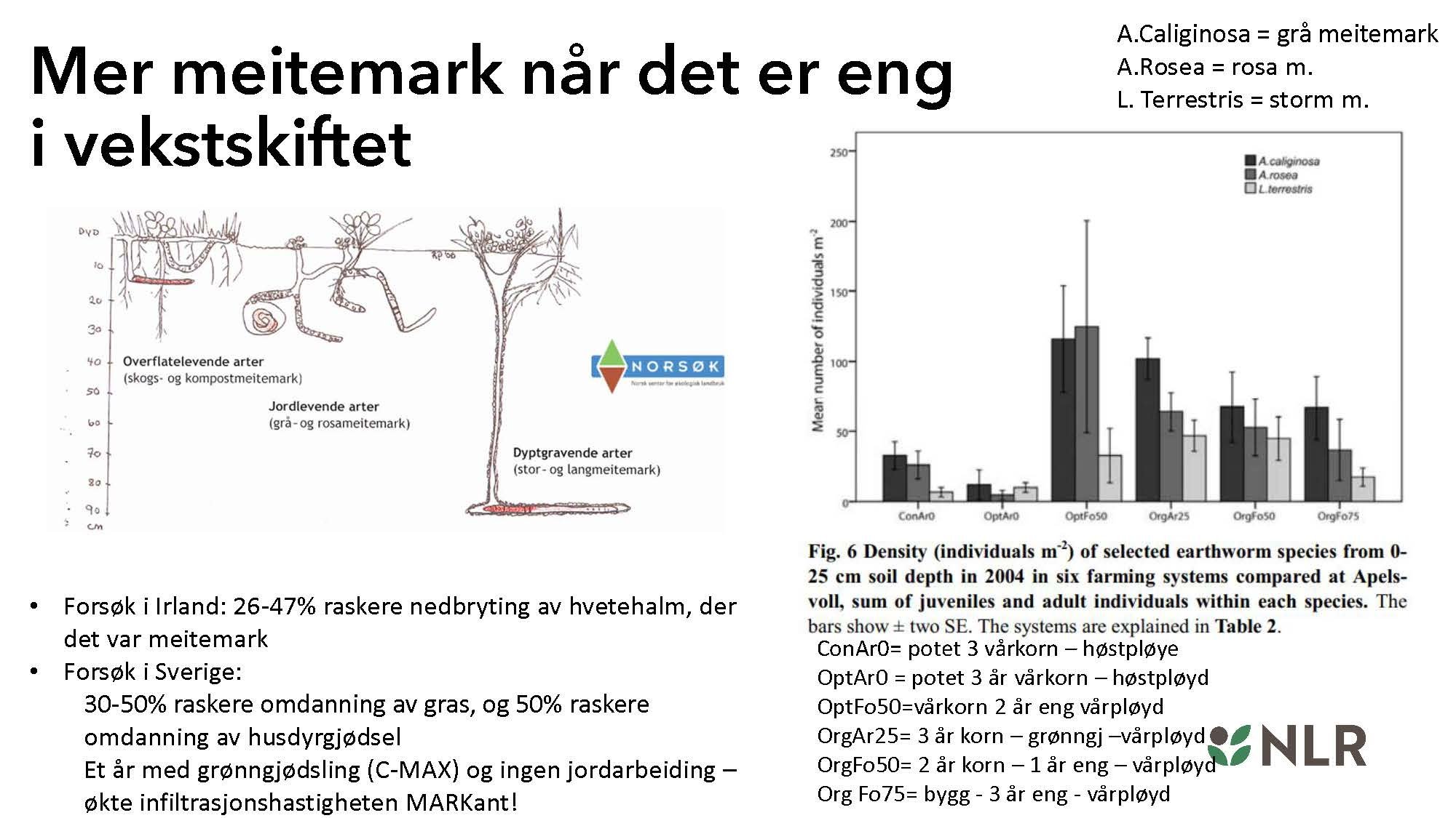 16.30 Den fantastiske enga! Kari Bysveen_Side_11.jpg