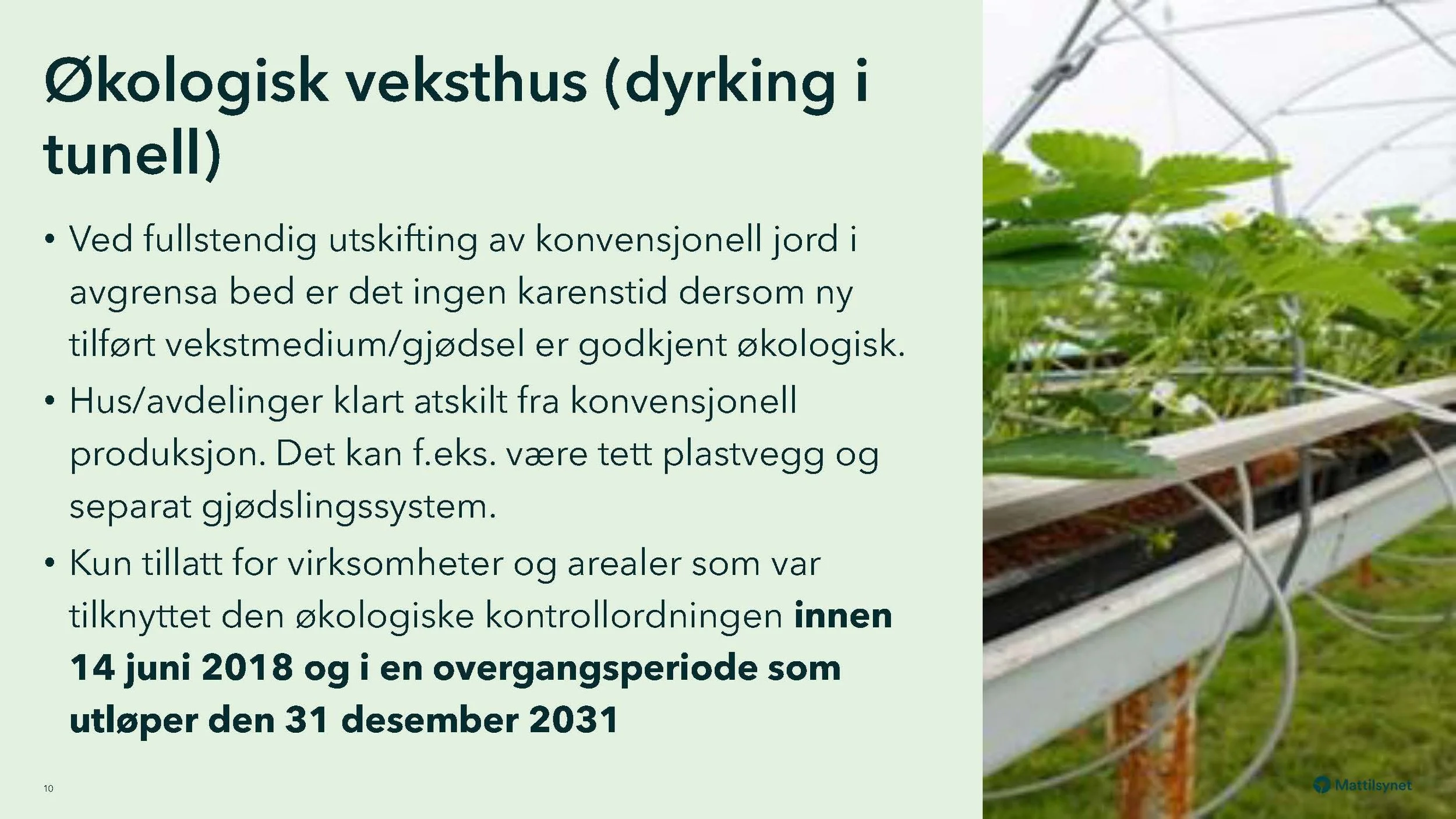 08 30 Regler for omlegging fra konv. til øko produksjon Mattilsynet,_Side_10.jpg