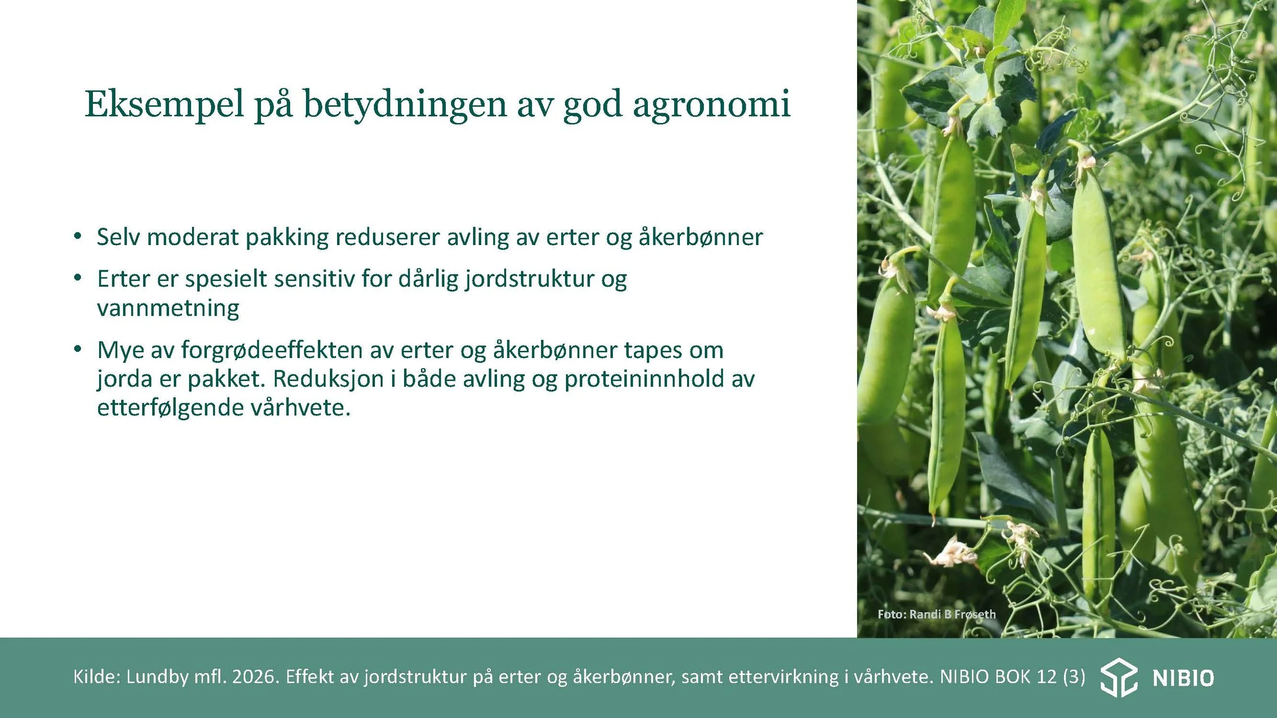 12 30 Åkerbruk Nitrogendynamikk Randi Berland_Side_22.jpg
