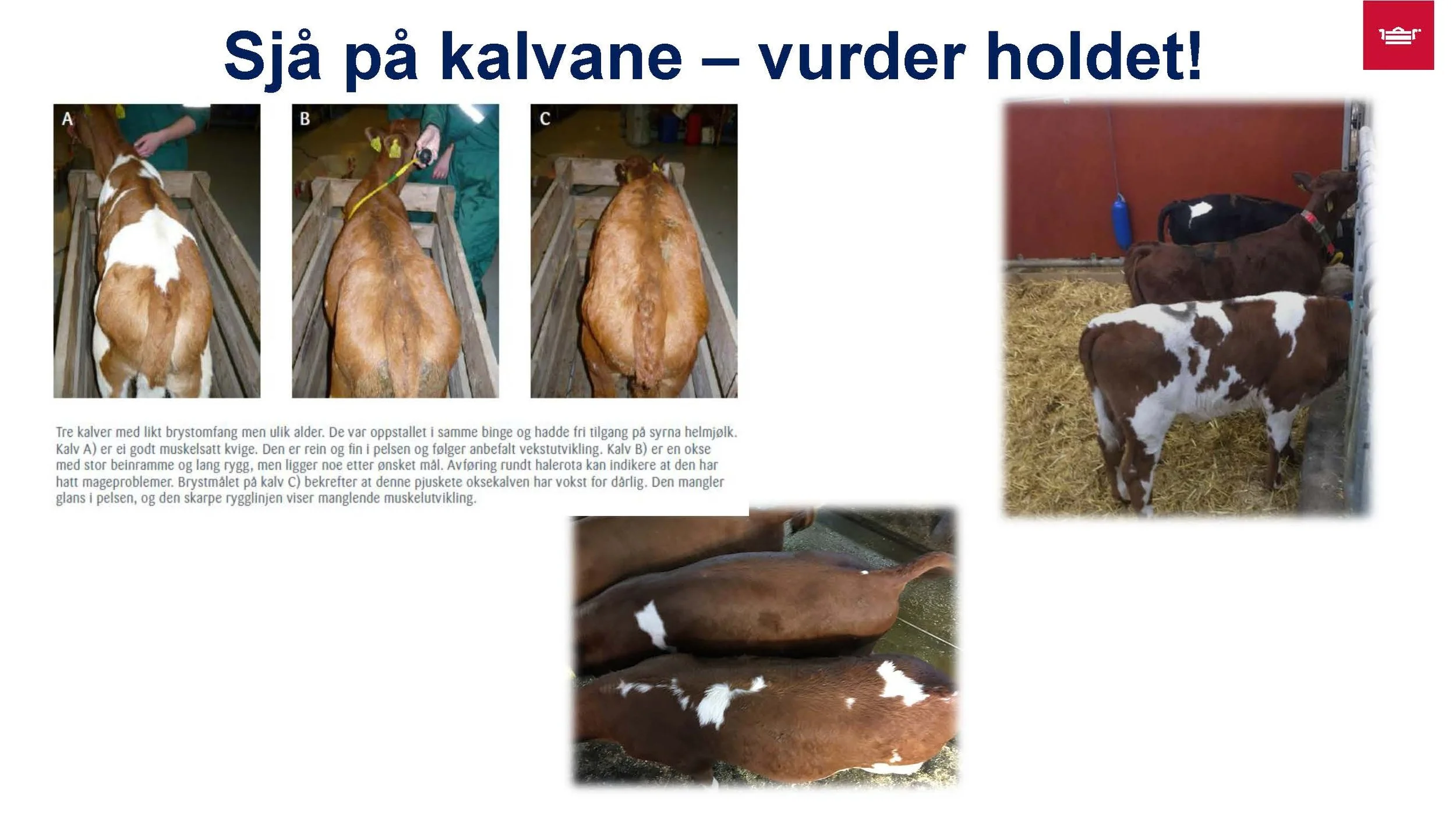 12.30 Frå nyfødt til vaksen Randi T. Garnmo_Side_03.jpg