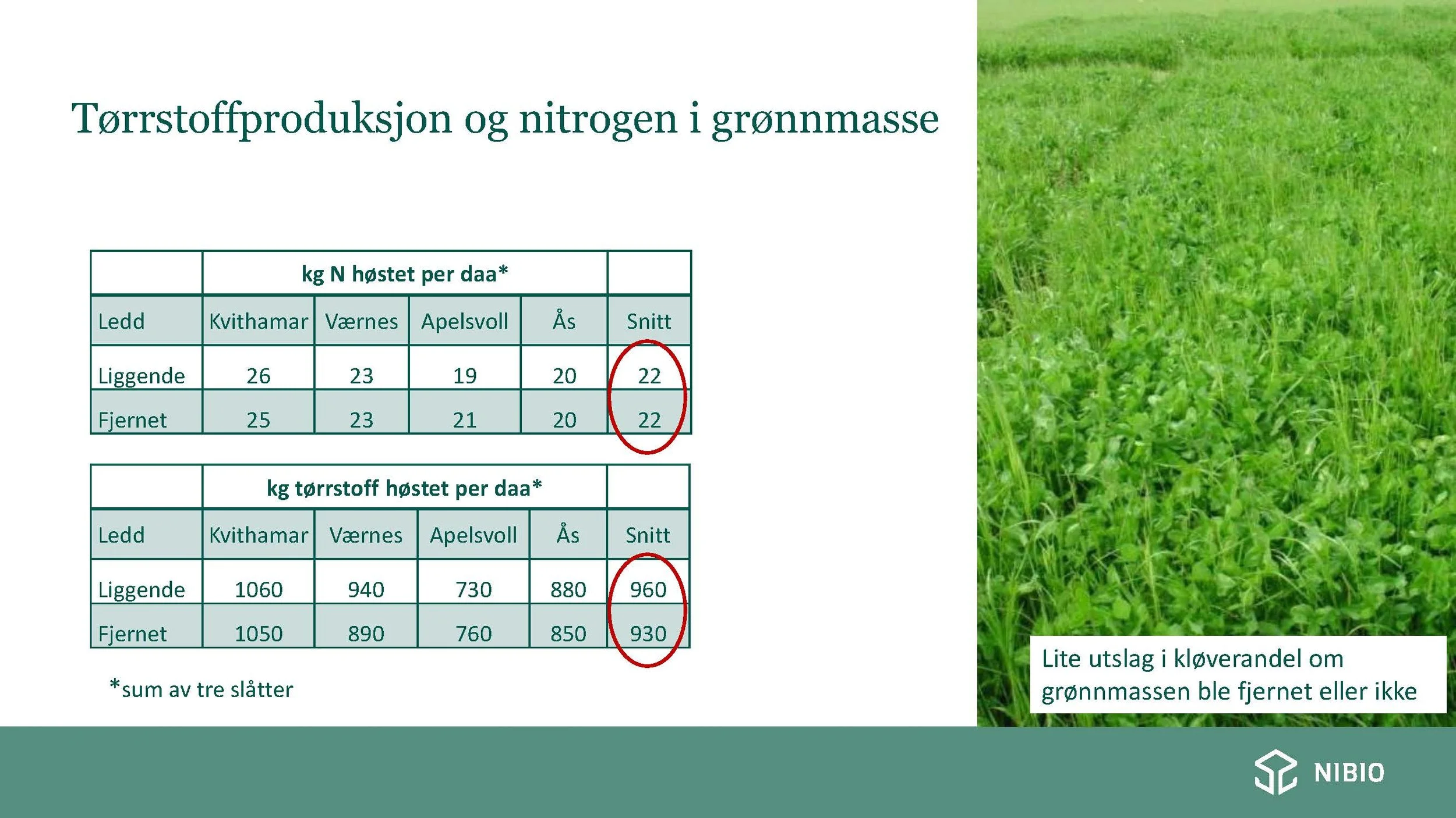 12 30 Åkerbruk Nitrogendynamikk Randi Berland_Side_14.jpg